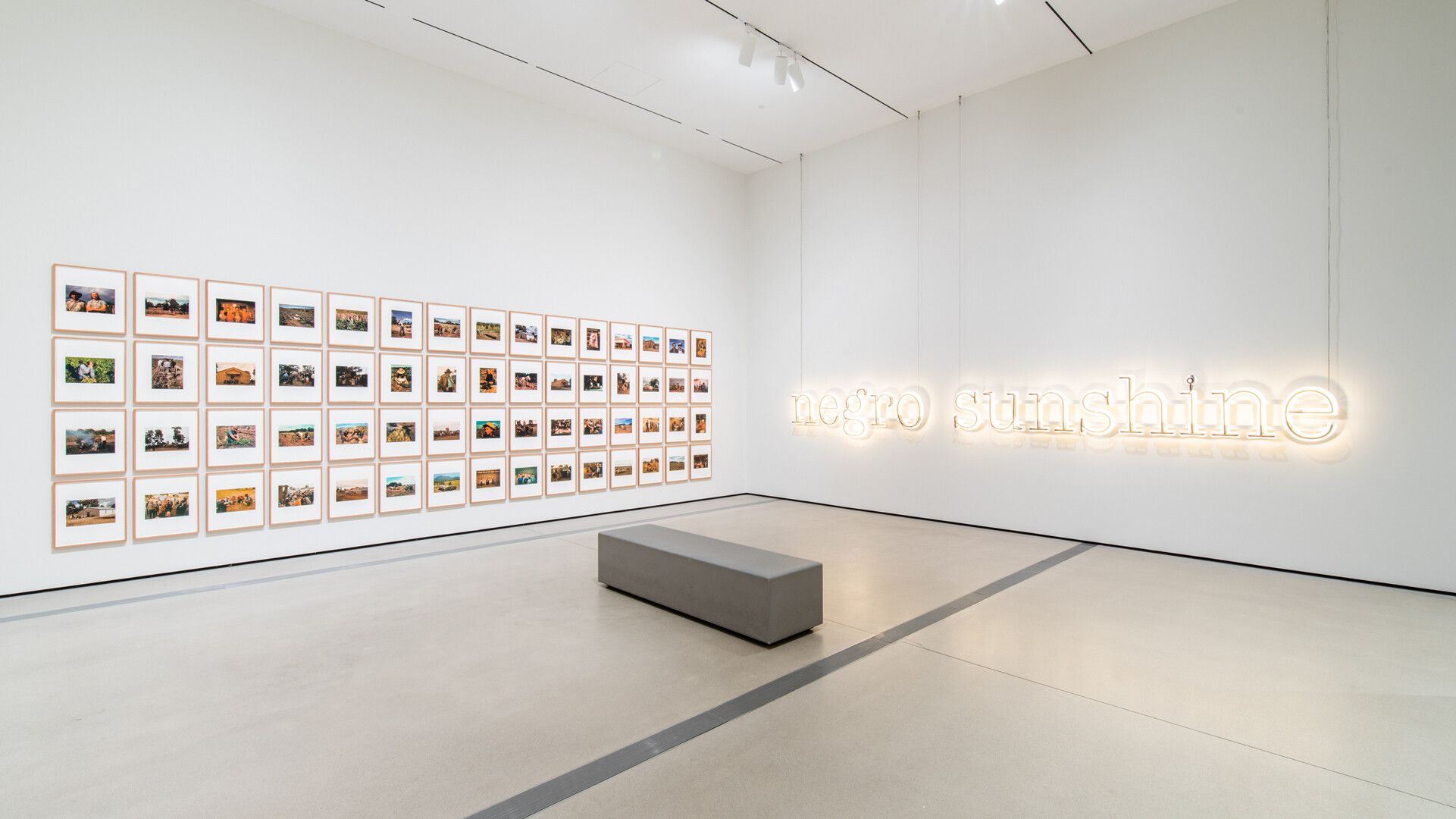 An installation view of Sherrie Levines series titled After Russell Lee: 1–60, dated 2016, at the Broad art museum.