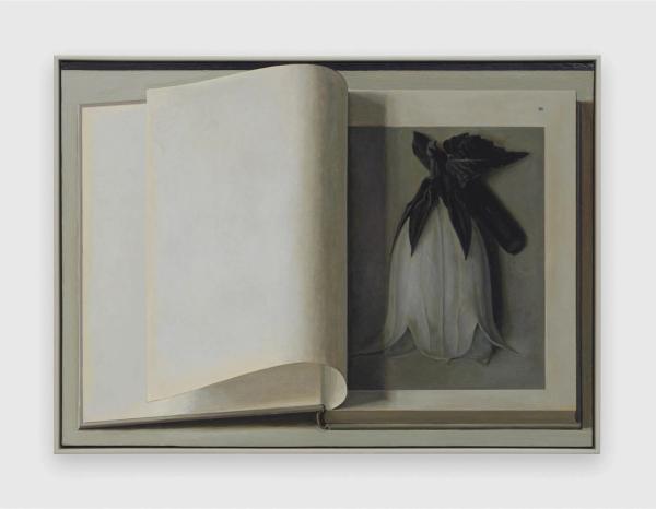 Liu Ye — Book Painting No. 20 (Blossfeldt, Urformen der Kunst, Verlag Ernst Wasmuth GMBH, Berlin, 1936)
