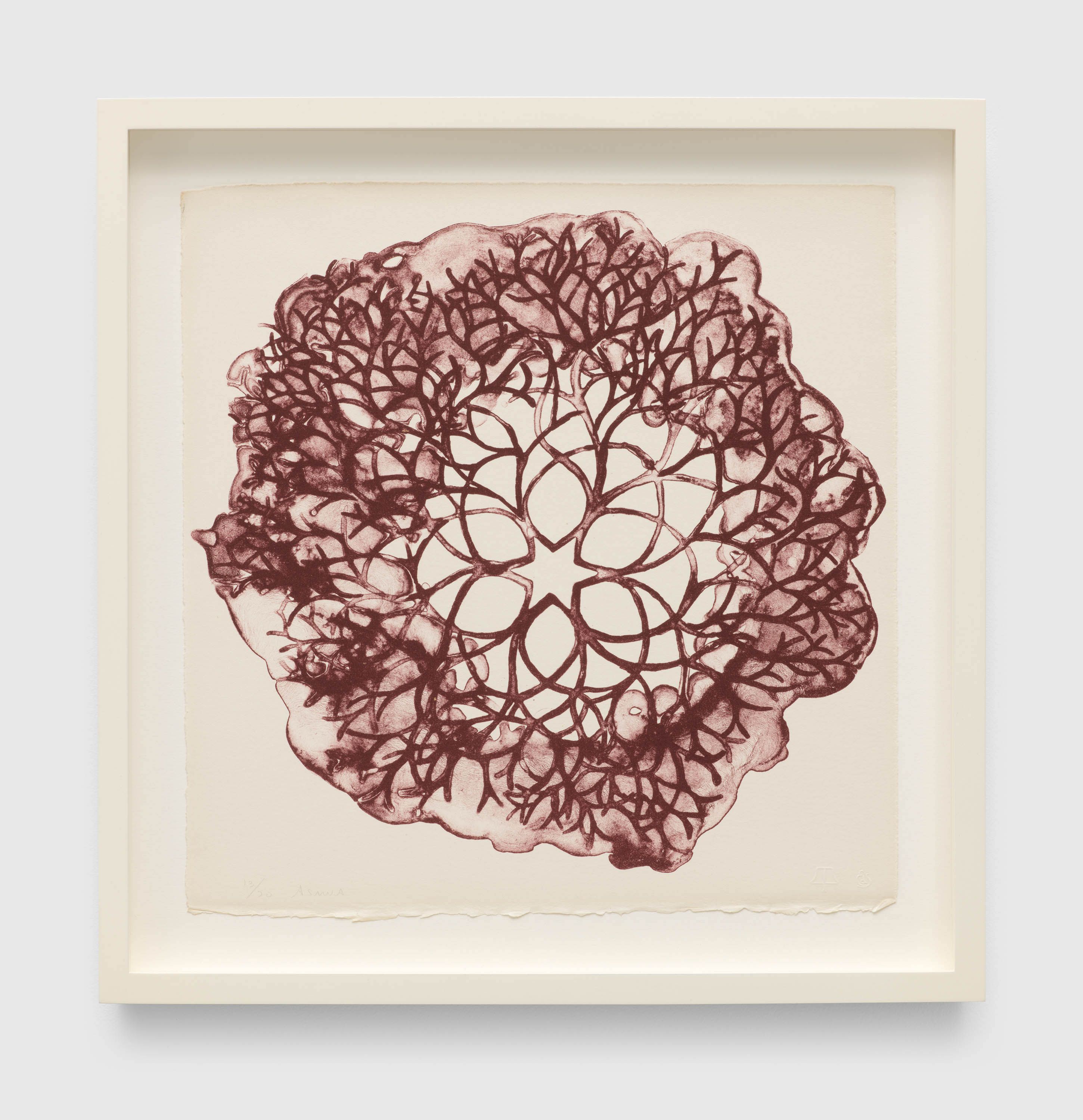 A print by Ruth Asawa, titled Desert Plant (TAM.1560, From the Portfolio Flowers (Tied-Wire Sculpture Drawing with Six-Pointed Star Center)), dated 1965.