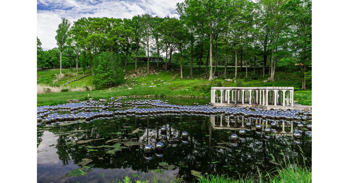 Narcissus Garden