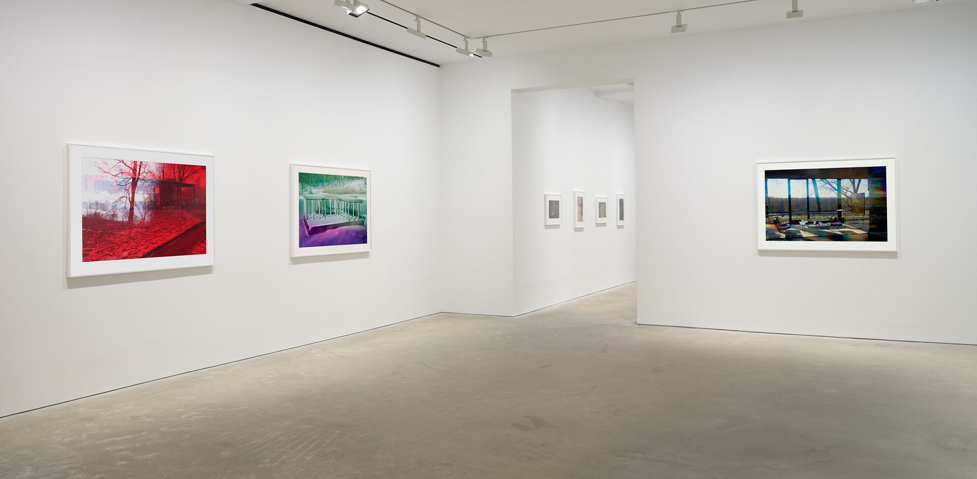 An installation view of an exhibition titled James Welling: Metamorphosis at David Zwirner, Hong Kong, in 2021.