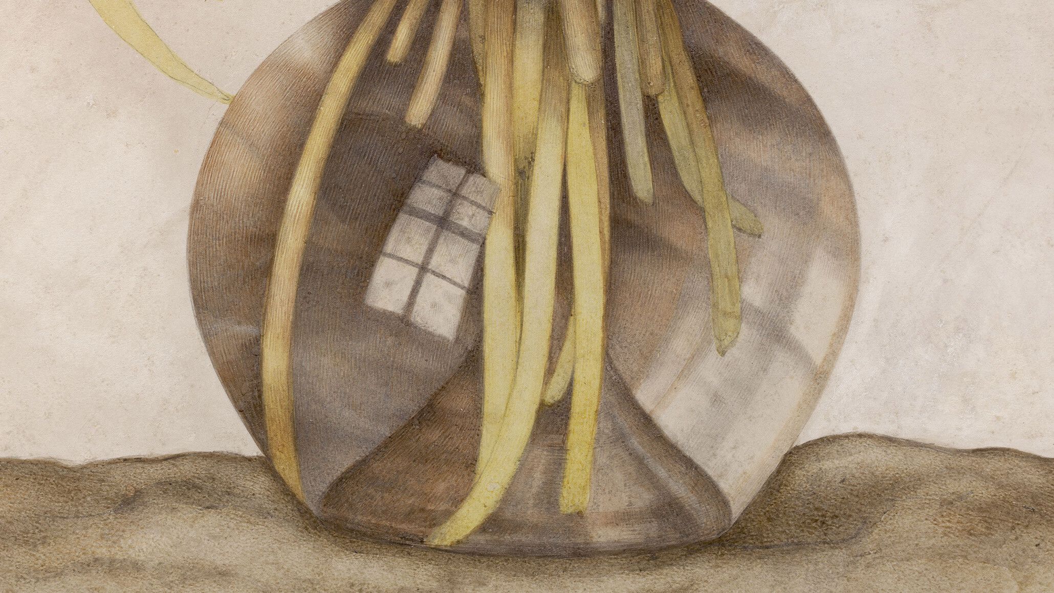 A detail from a painting by Giovanna Garzoni, titled Still life of flowers in a glass vase, dated circa 1640-1650.