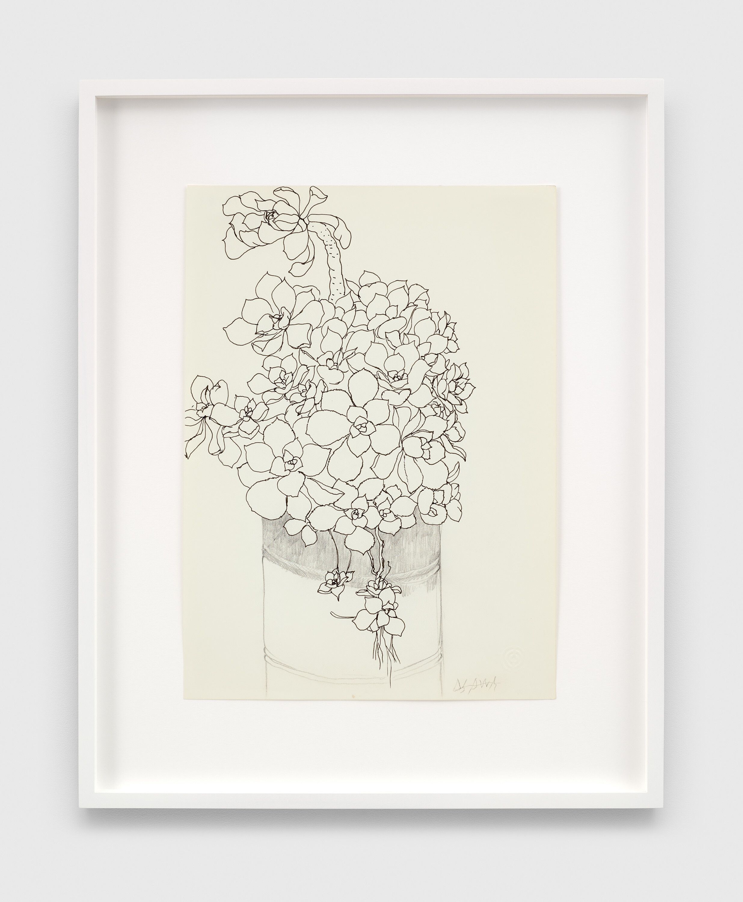 A pen, black ink, and graphite pencil on paper artwork by Ruth Asawa, titled Untitled (PF.1059, Succulent in Pot), n.d.