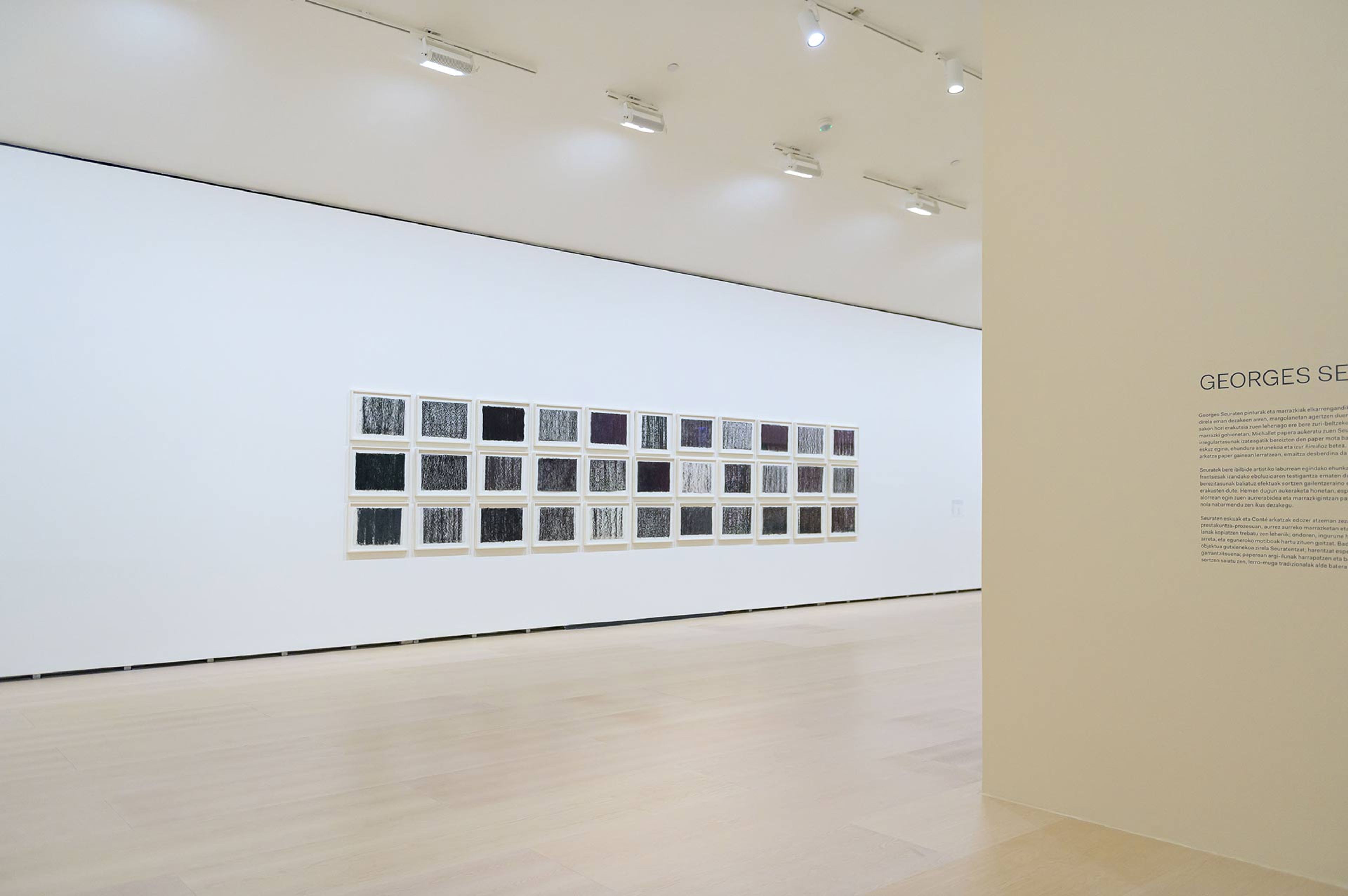 Installation view of the exhibition Serra/Seurat. Drawings at the Guggenheim Museum Bilbao, dated 2022.