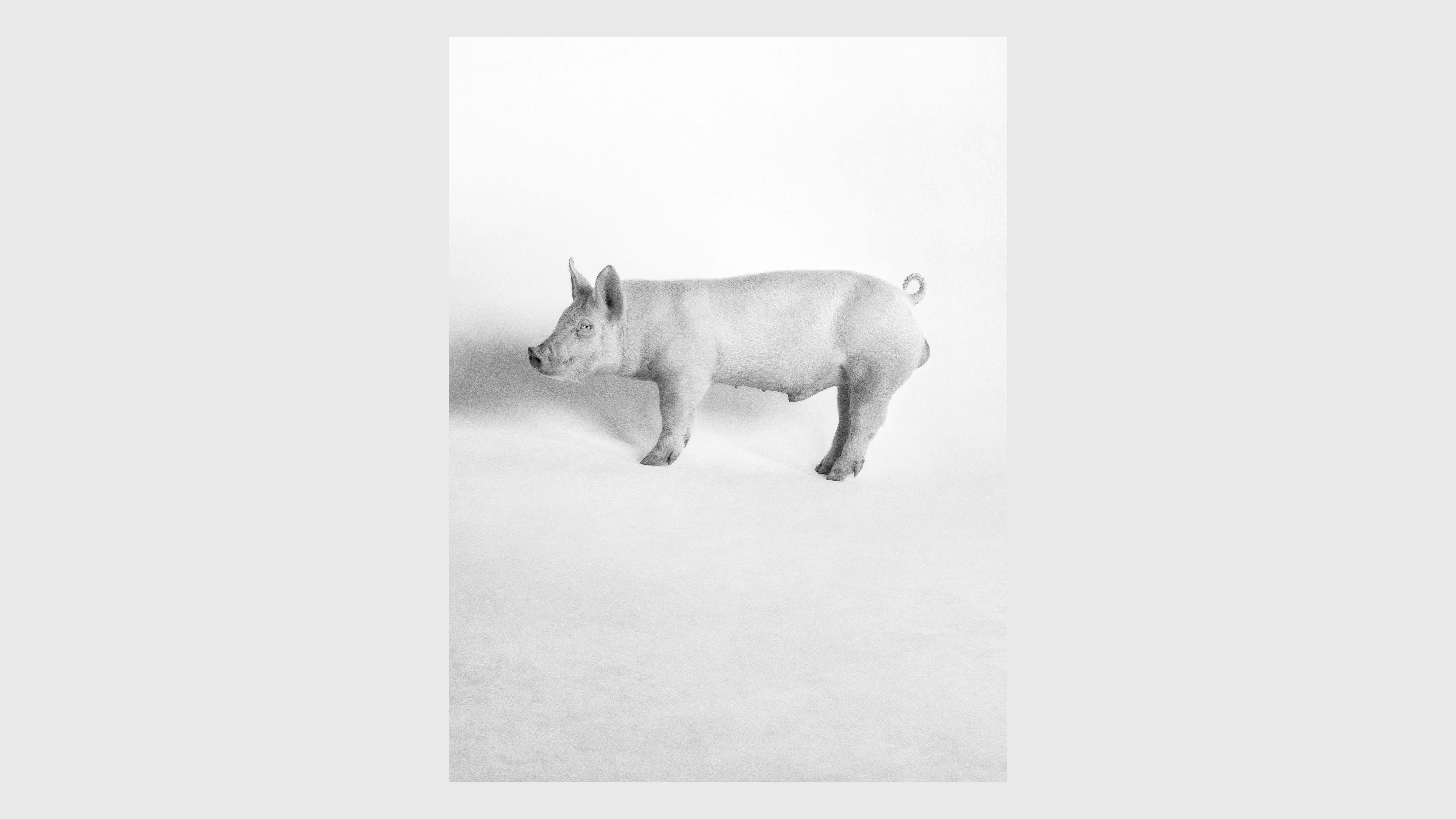 A work by Heji Shin, titled "Eat Me," dated 2023