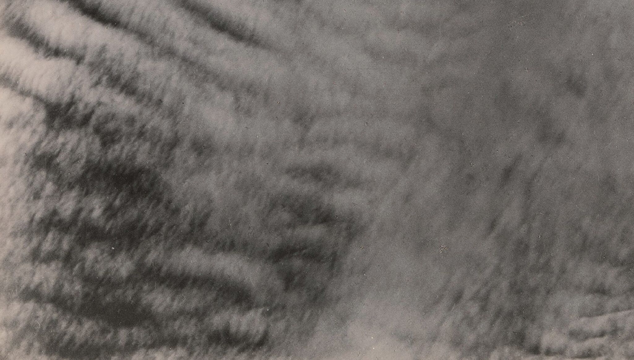 A detail of an artwork by Sherrie Levine, titled After Stieglitz: Set A: 1-6, dated 2023