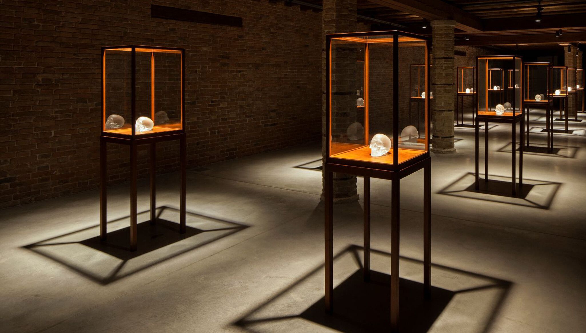 A Dogana Installation View