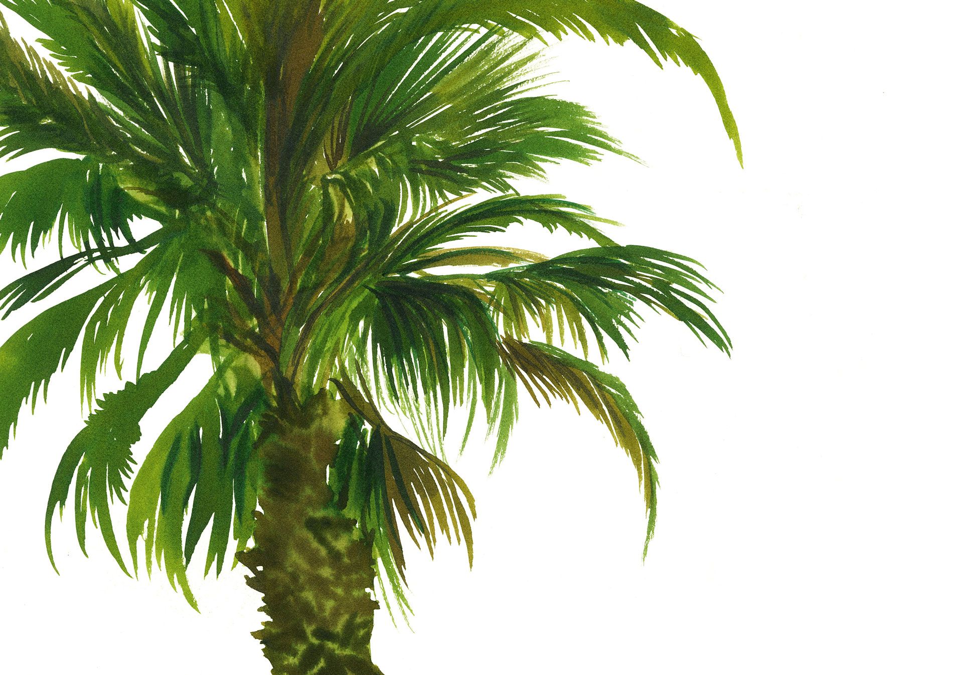A detail of a work on paper by Marcel Dzama titled Palm tree, dated 2018.