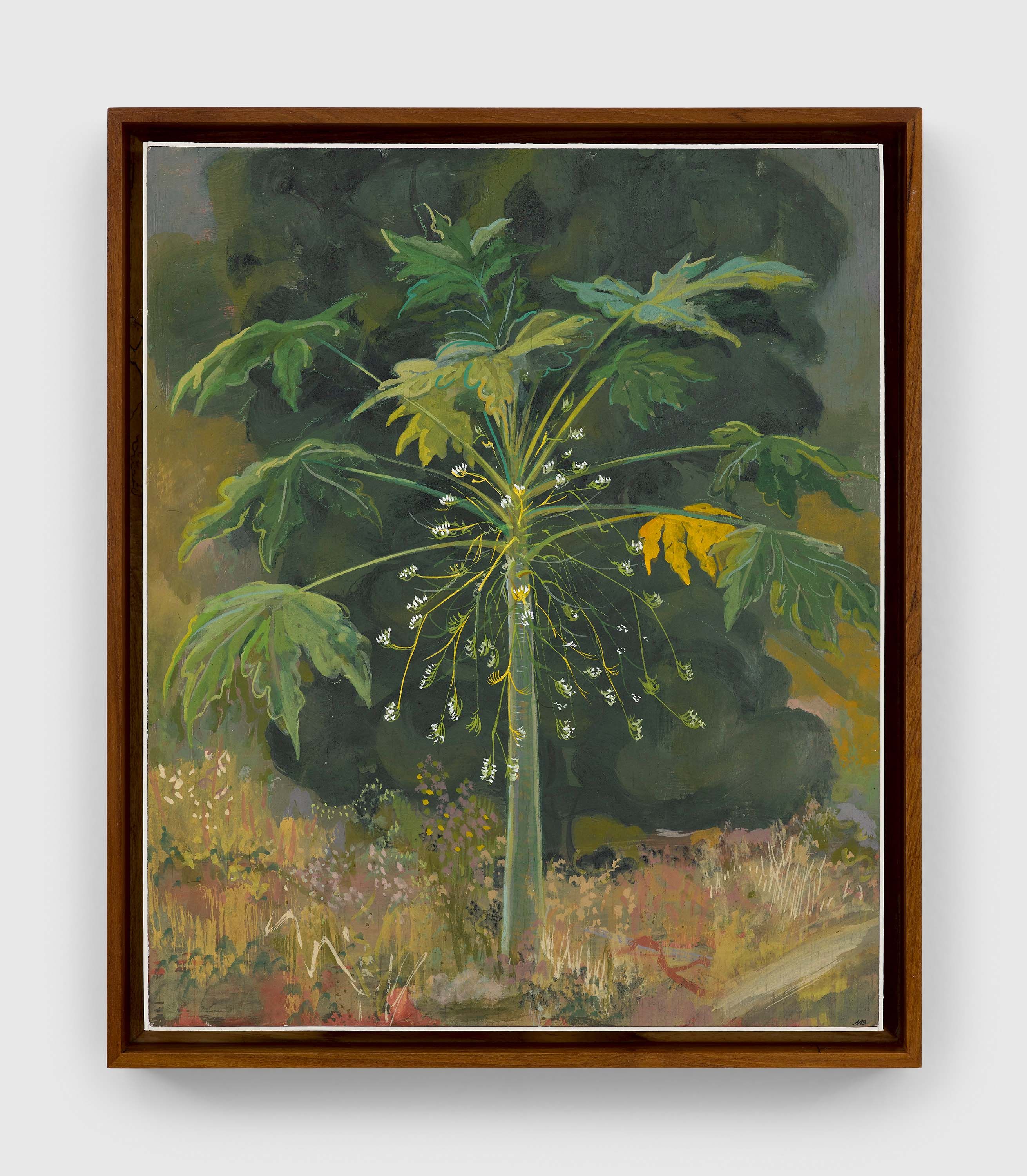 A casein on board painting by Mahesh Baliga, titled Male papaya tree, dated 2022.