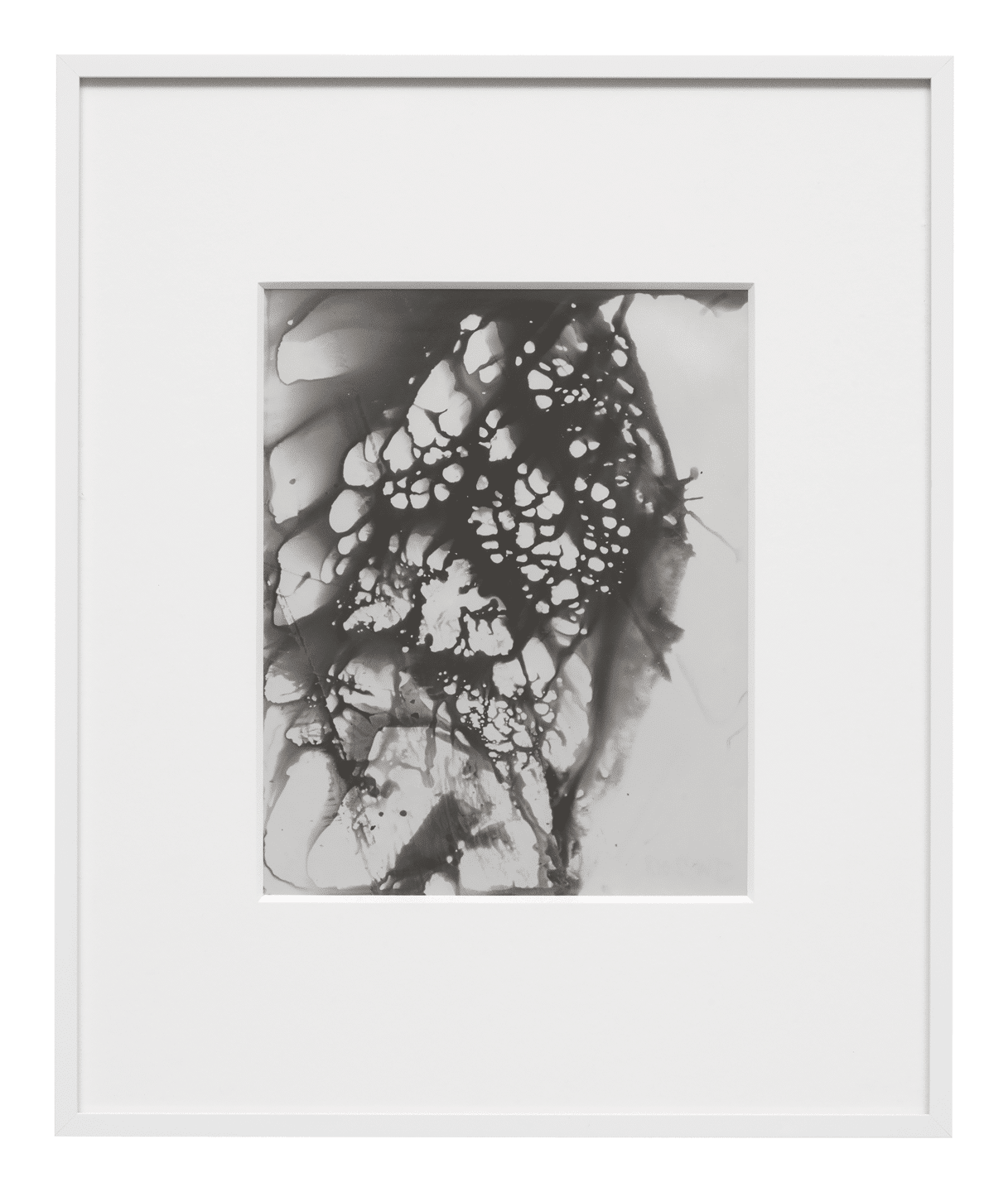 A chemigram on chromogenic paper by James Welling, titled Chemical, dated 2018.
