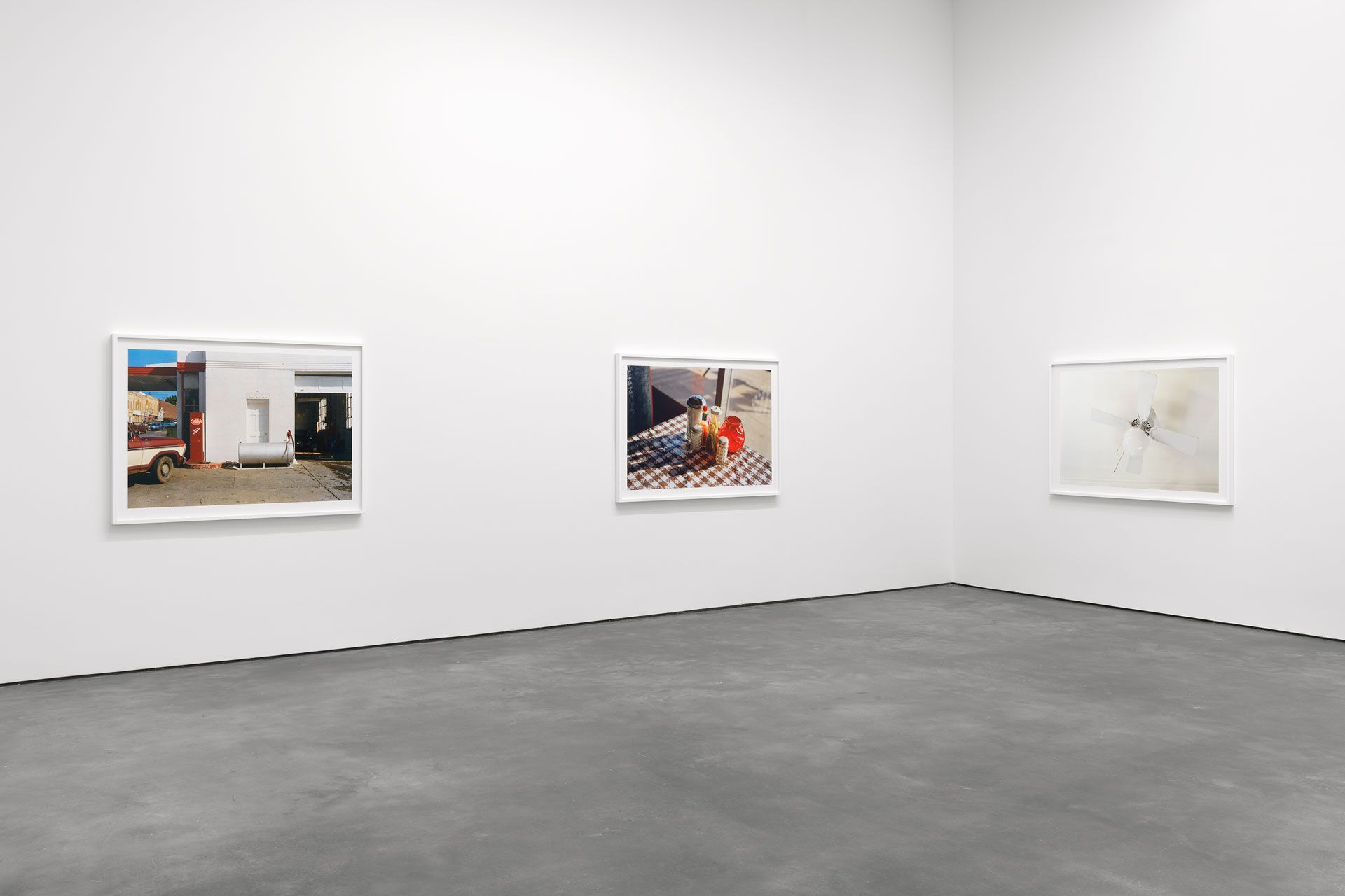 An installation view of the exhibition, Democratic Forest, at David Zwirner in New York, dated 2016.