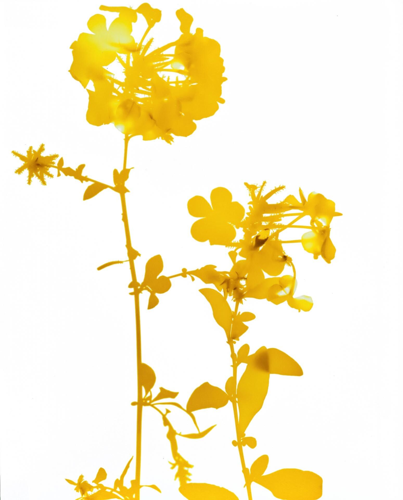 A photograph by James Welling, titled #019, dated 2004.