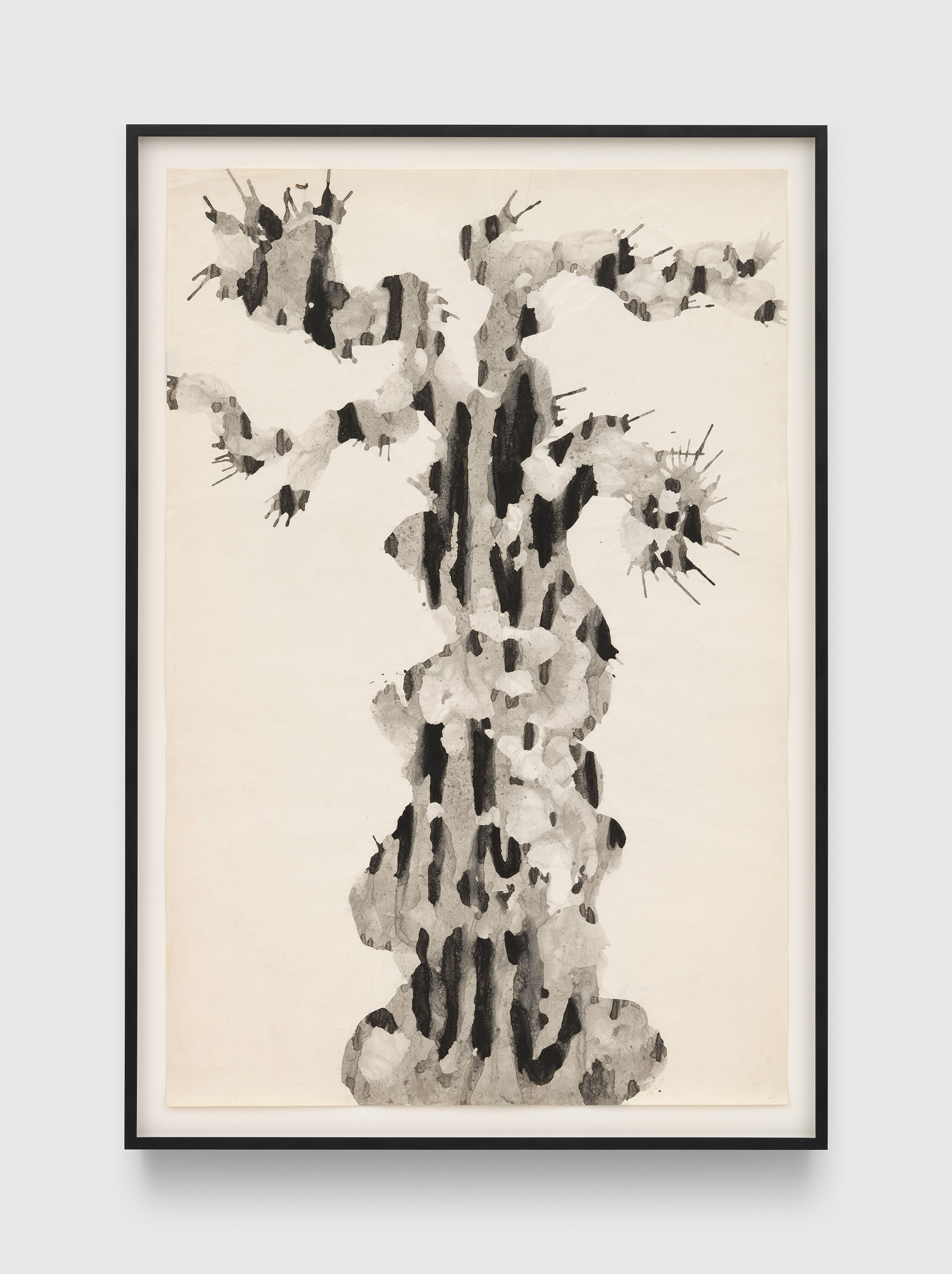 A work on paper by Ruth Asawa, called Untitled (PT.064, Plane Tree), dated circa 1960 to 1964.