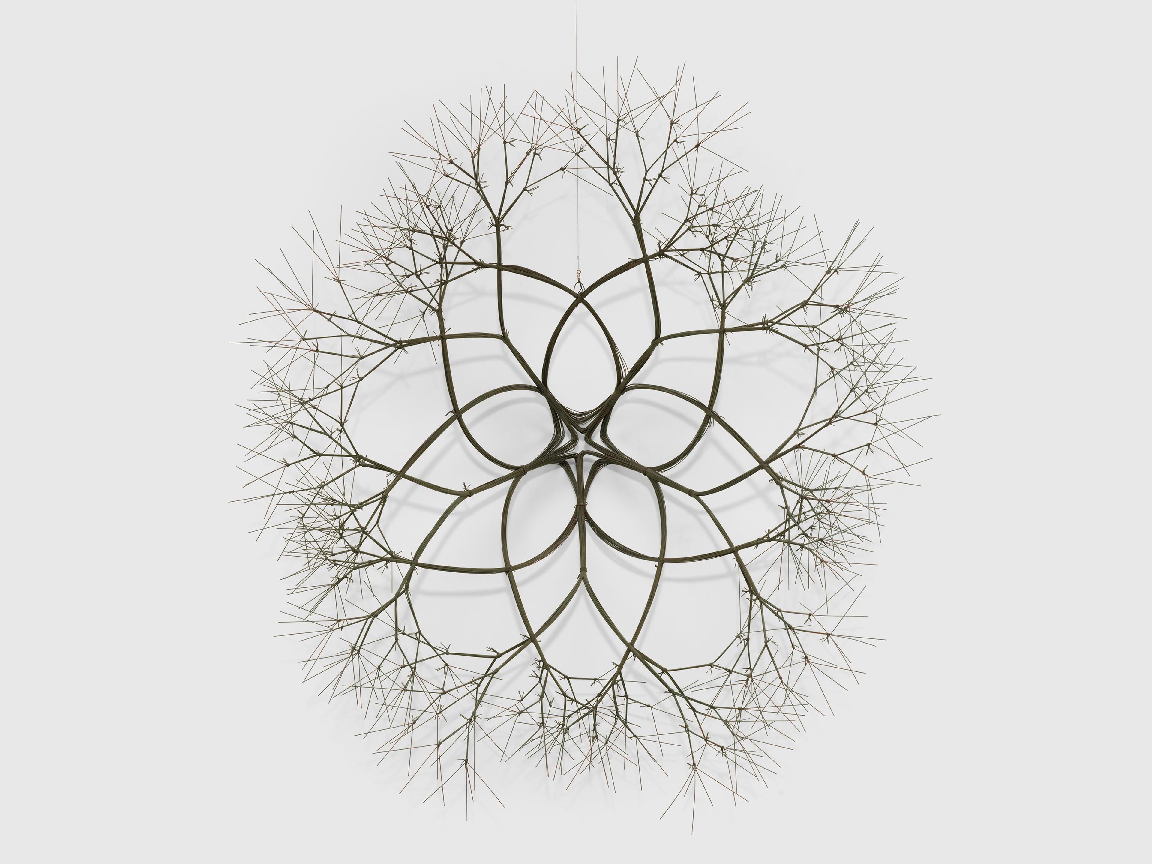 A sculpture by Ruth Asawa, titled Untitled (S.212, Wall-Mounted Tied-Wire, Open-Center, Five-Branched Form Based on Nature), dated 1977.