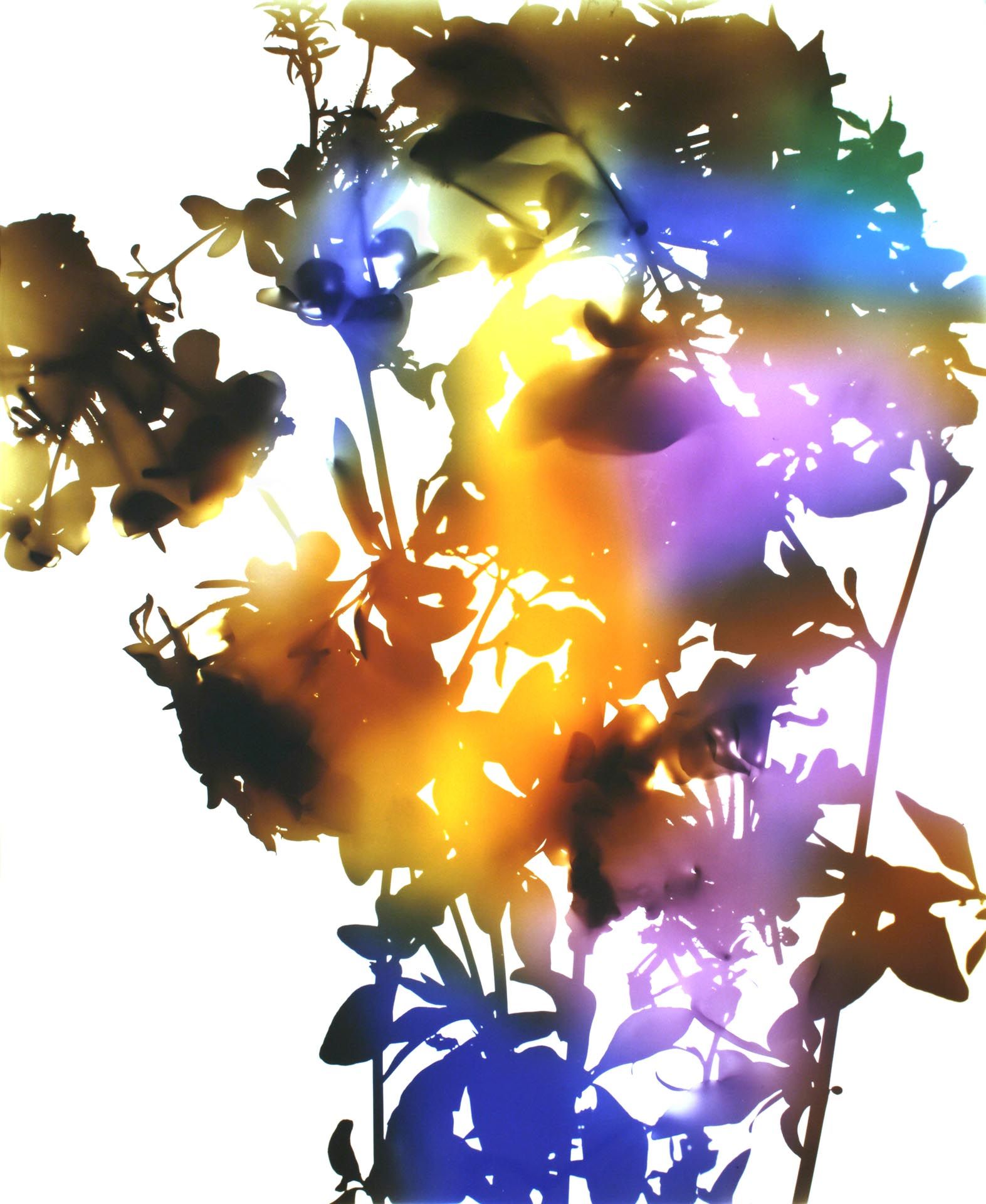 A photograph by James Welling, titled 029, dated 2006. 