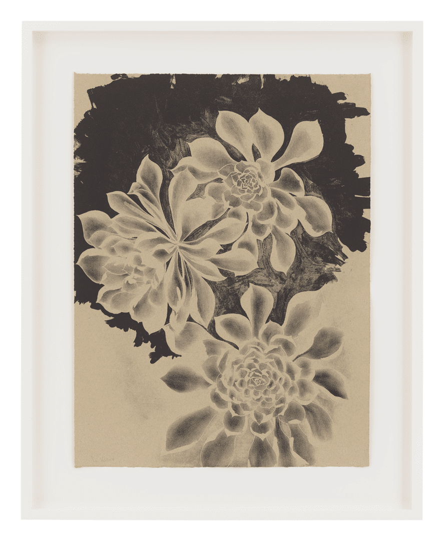 A lithograph on paper by Ruth Asawa, titled Succulents (TAM.1475, Three succulents on dark black ground), dated 1965.