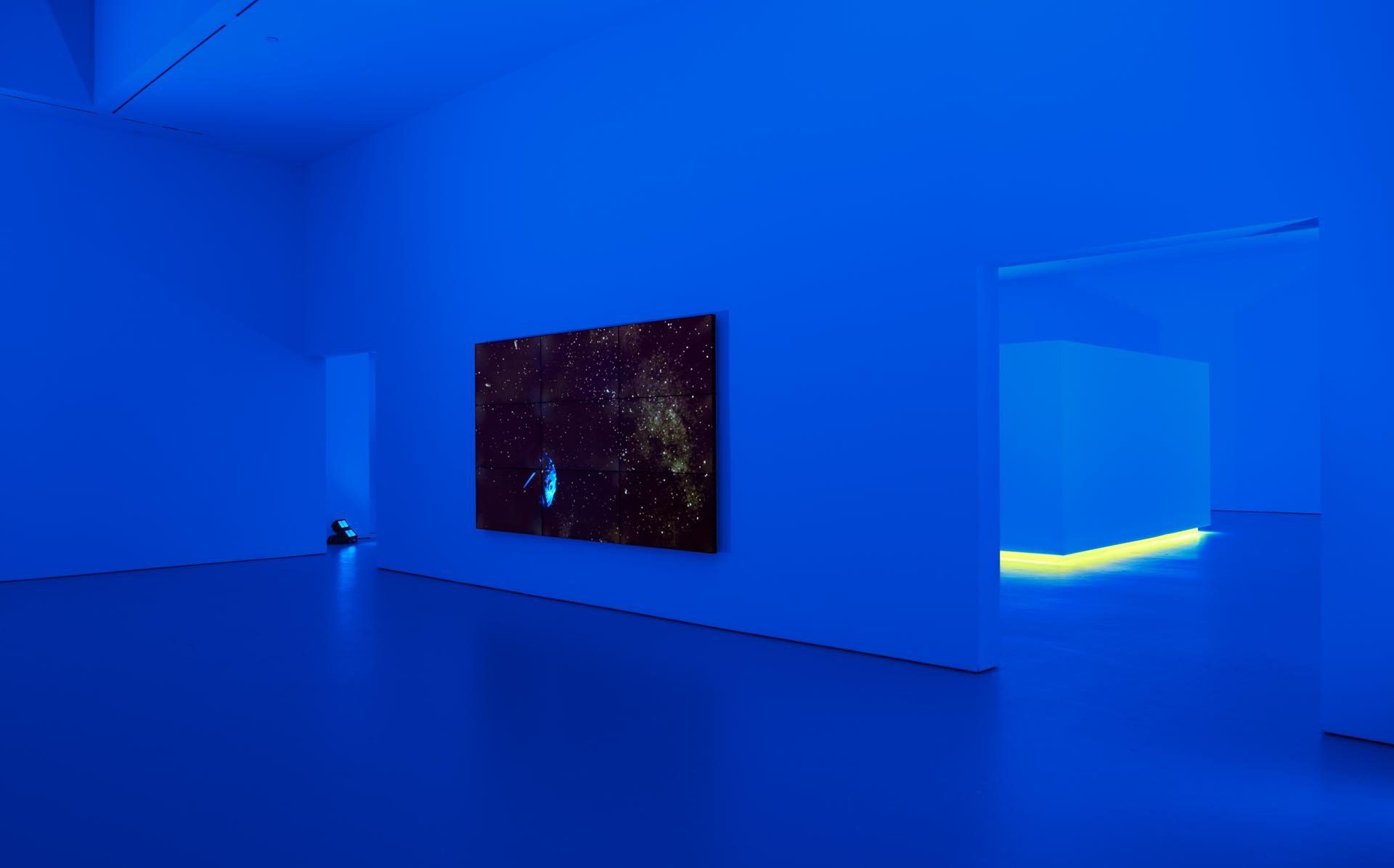 Installation view of the exhibition, Diana Thater: Science, Fiction, at David Zwirner in New York, dated 2015.