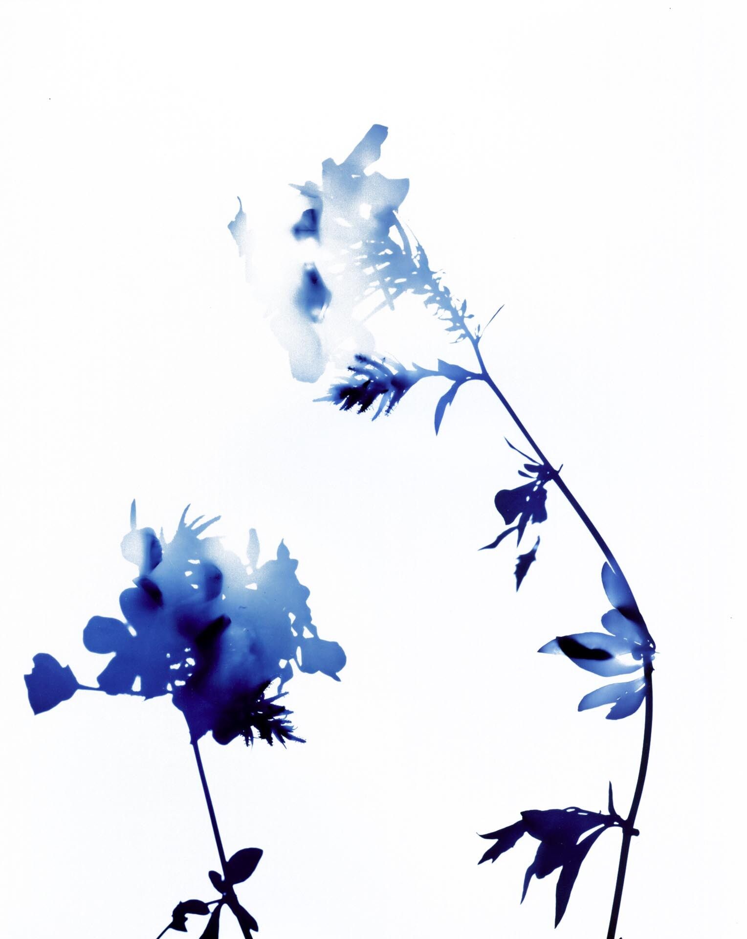A photograph by James Welling, titled #014, dated 2004.