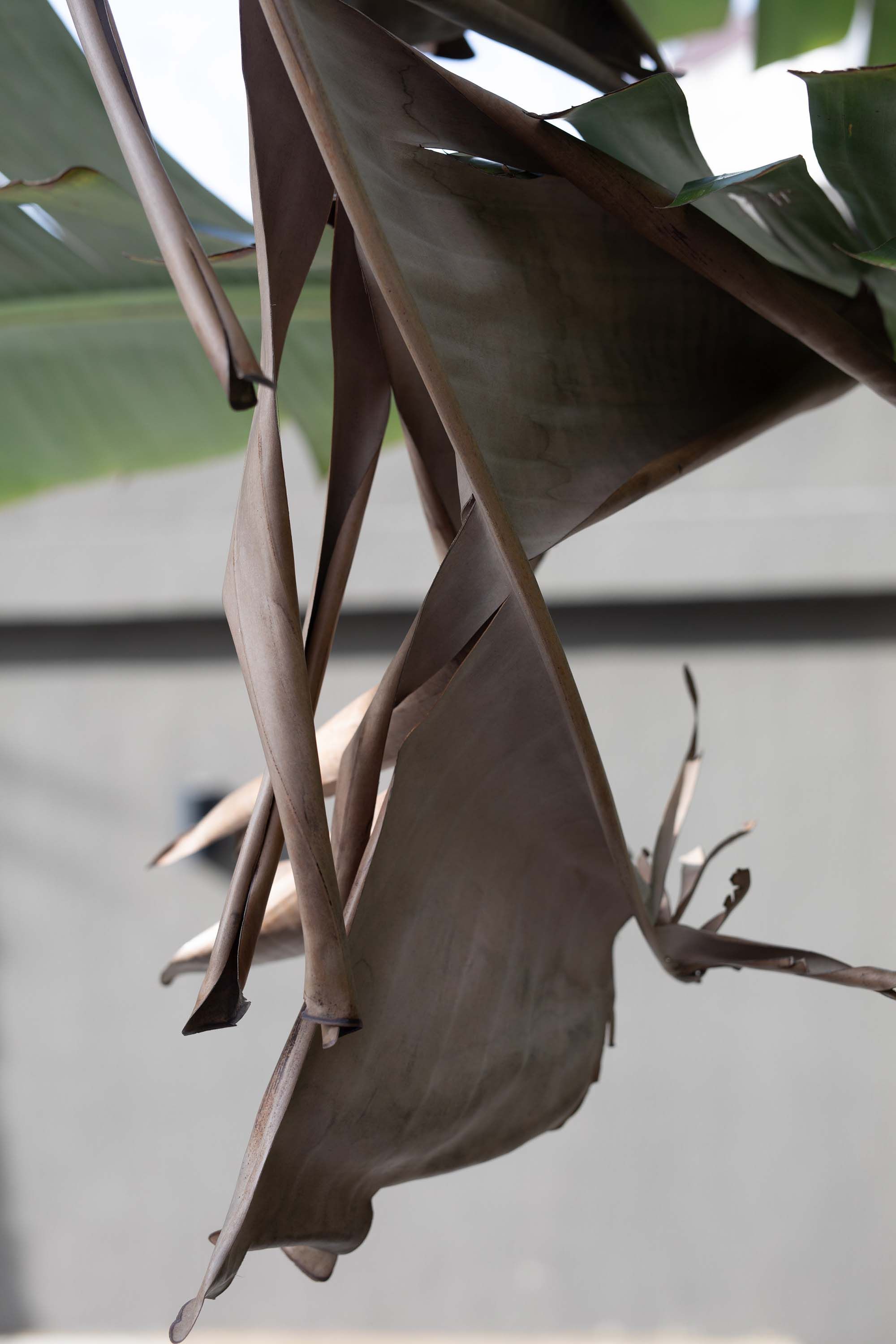 A photograph by Wolfgang Tillmans, titled Fold me, dated 2022.