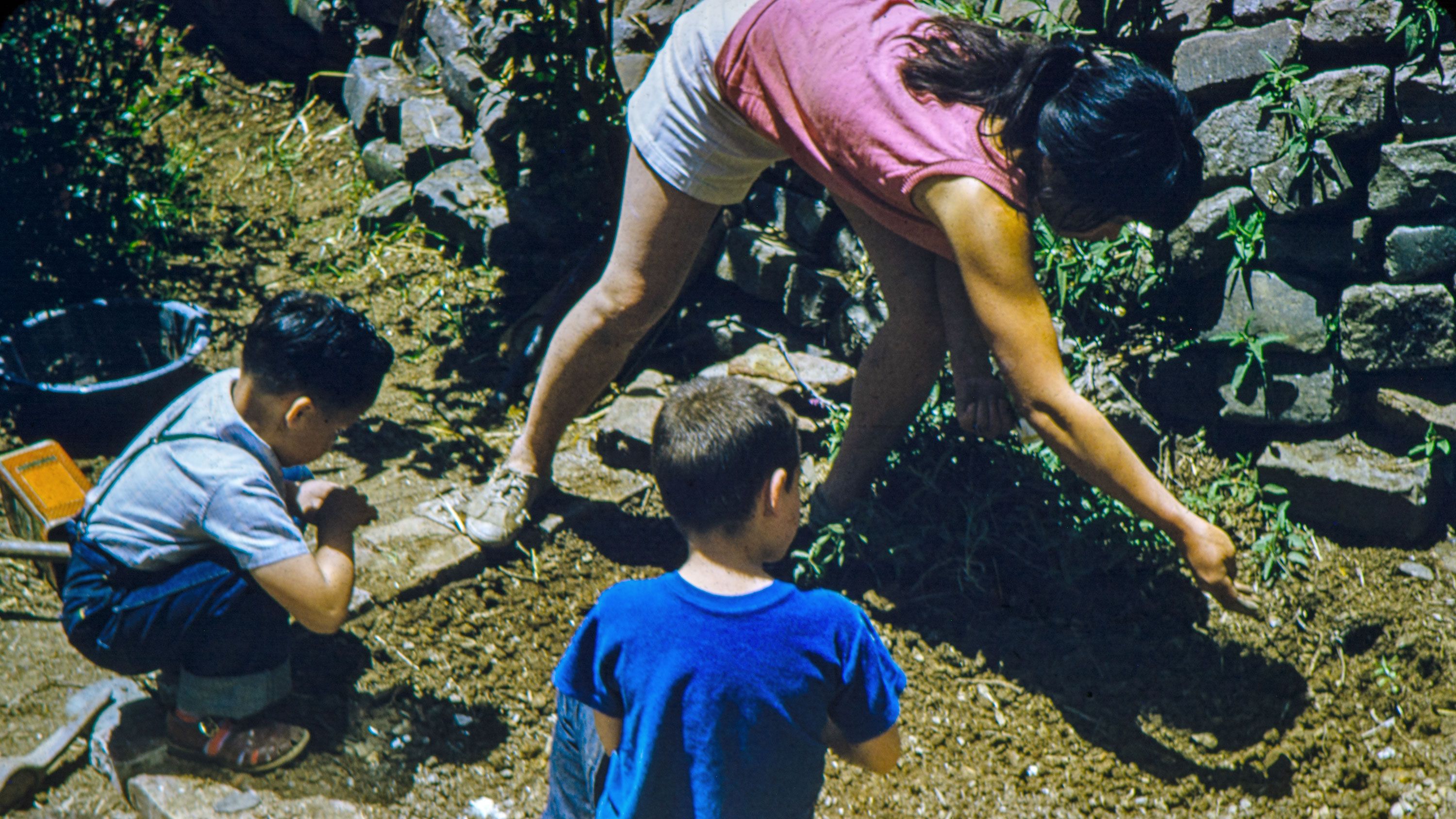 Ruth planting seeds with son Xavier and his friend at her Saturn Street home, circa 1955.