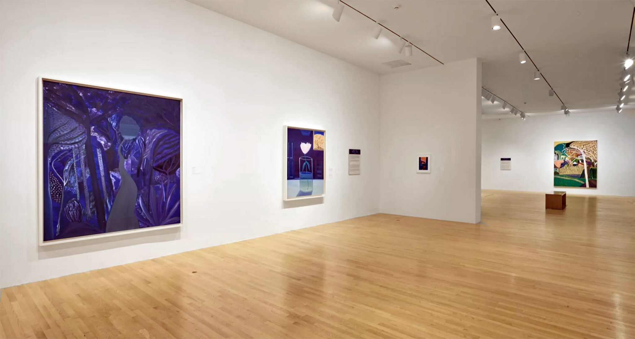 An installation view of the exhibition titled Matthew Wong: The Realm of Appearances at Dallas Museum of Art, dated 2022.