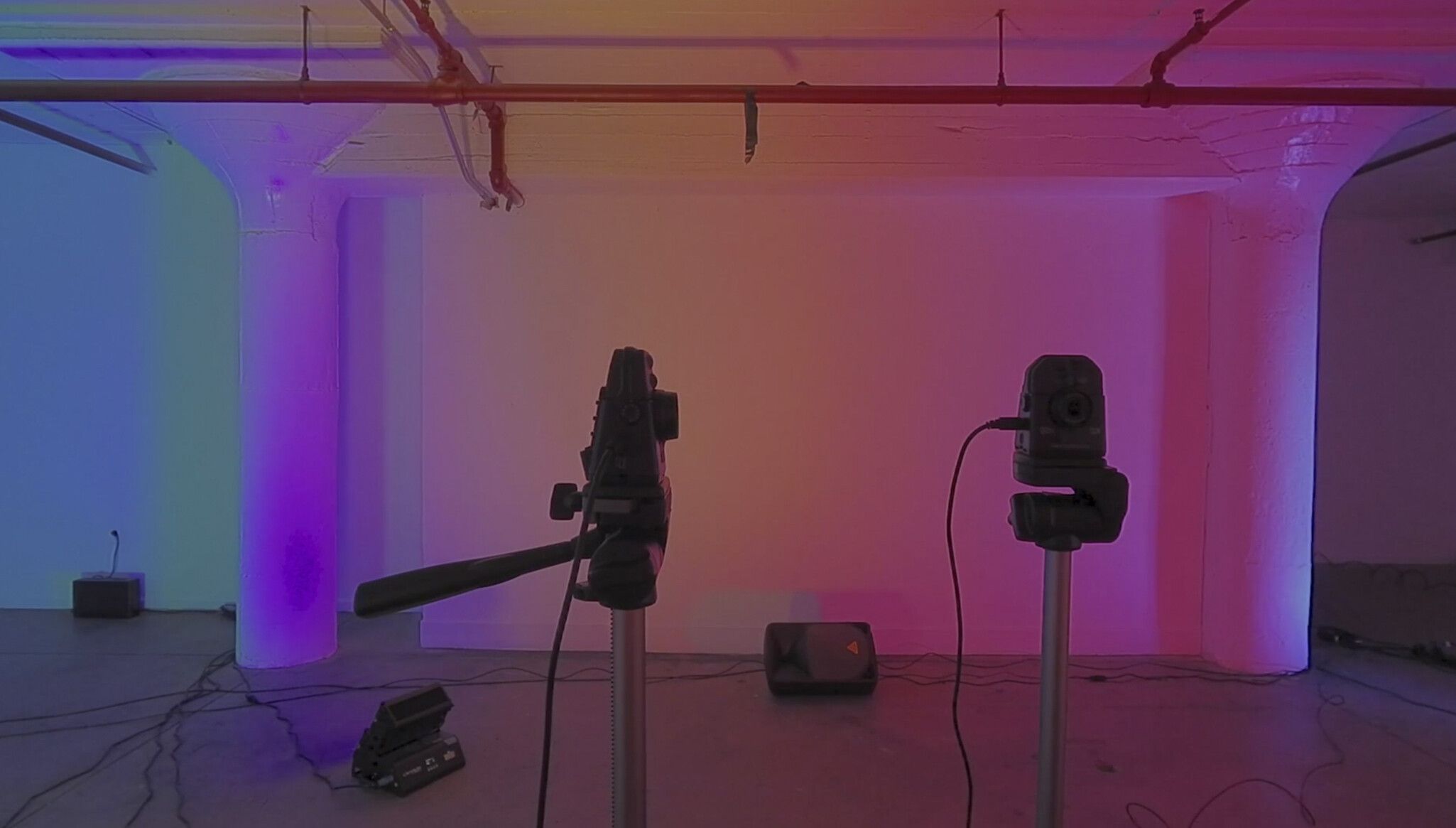 Installation view of the exhibition "Diana Thater: Yes, there will be singing," David Zwirner Offsite, 2020