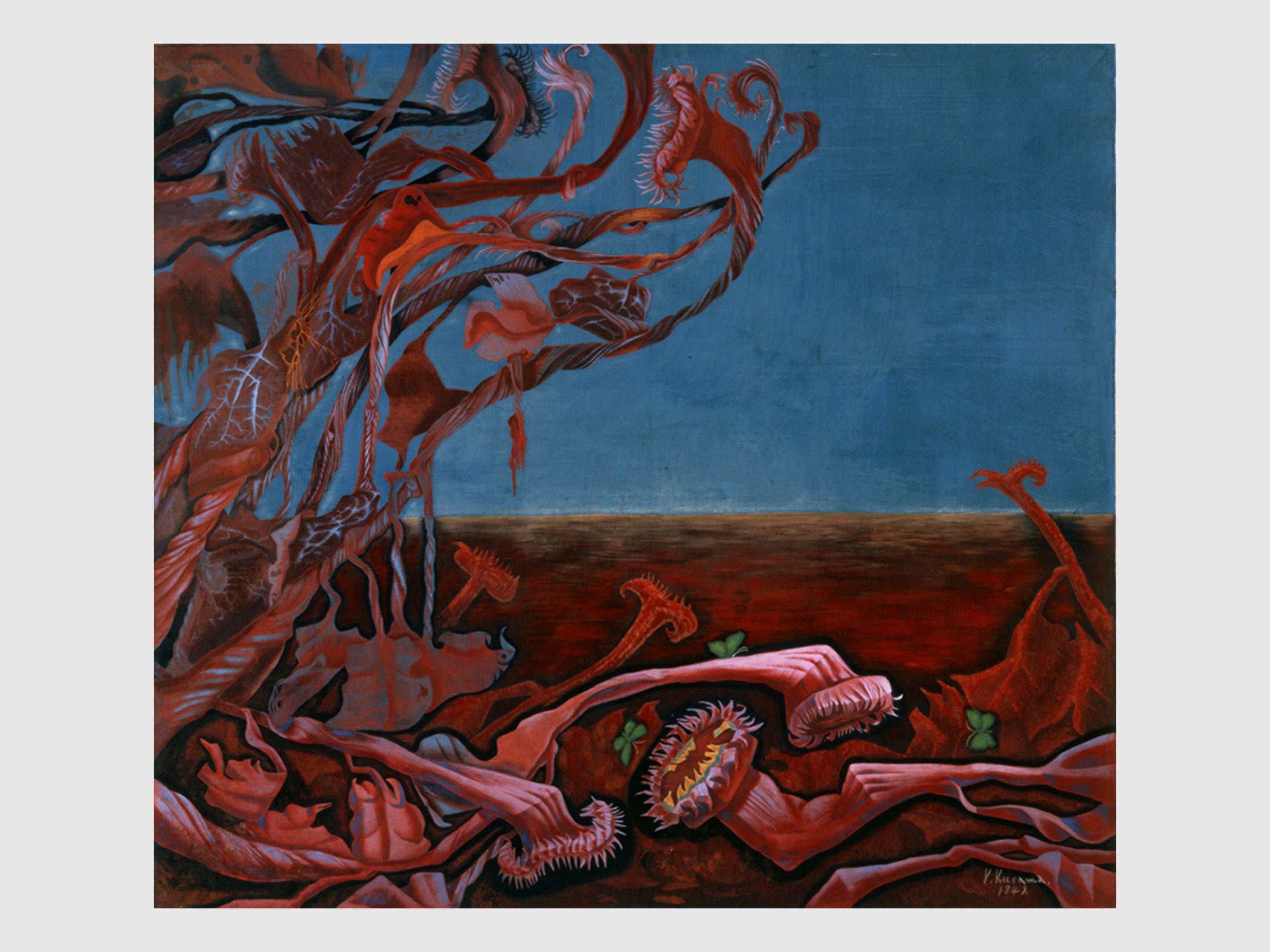 Amazon.com: Ku.ju.ku a Kite -Yasuomi Umetsu ART Works Japan