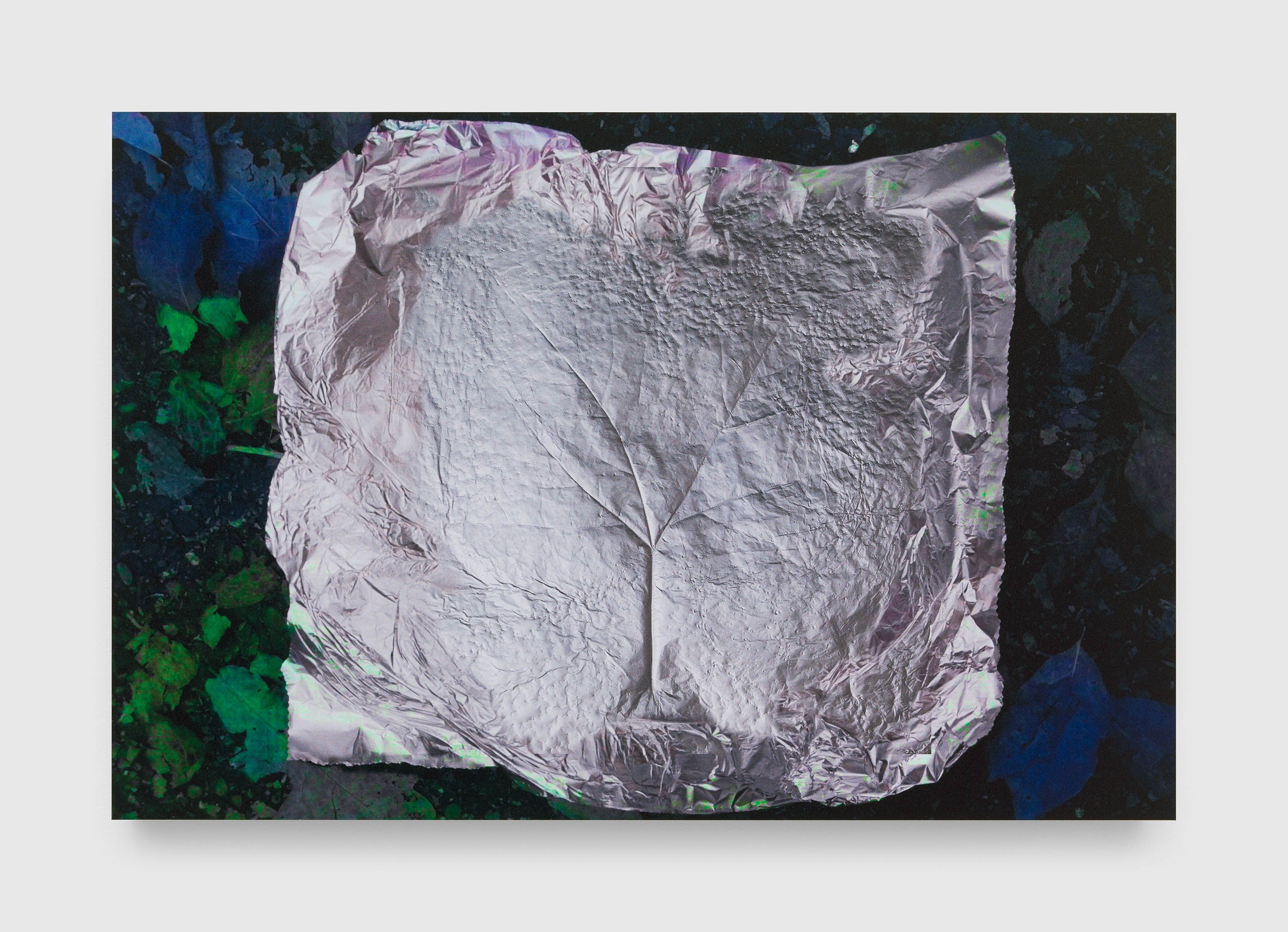 A photograph by James Welling, titled Leaf Imprint, dated in 2013 and 2023.