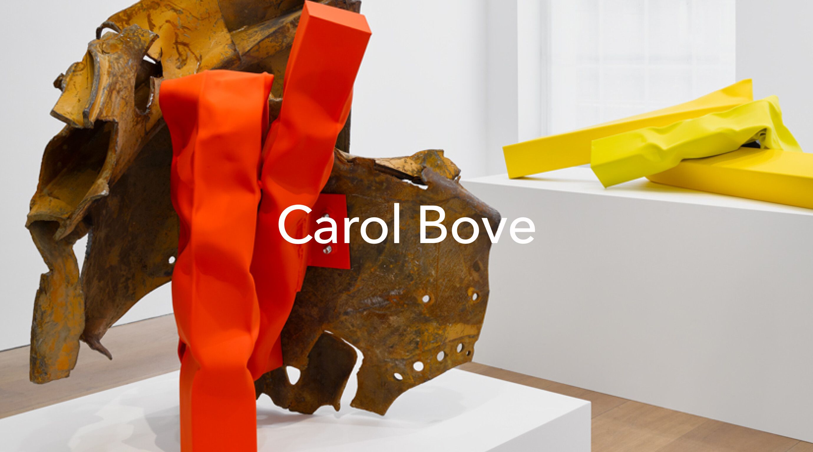 An image CTA with the following text overlay Carol Bove
