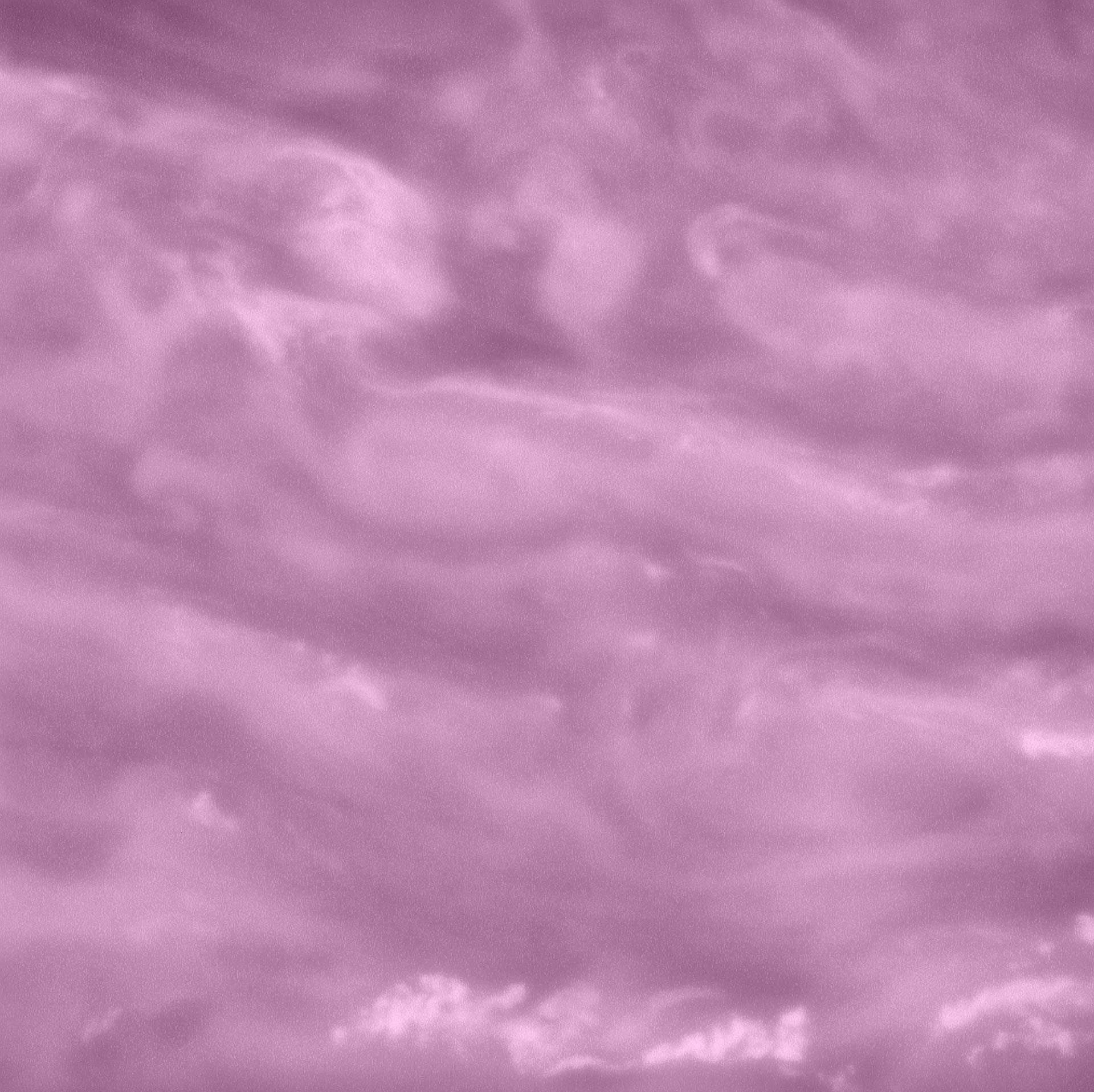 A photograph by Thomas Ruff, titled cassini 27, dated 2009. 