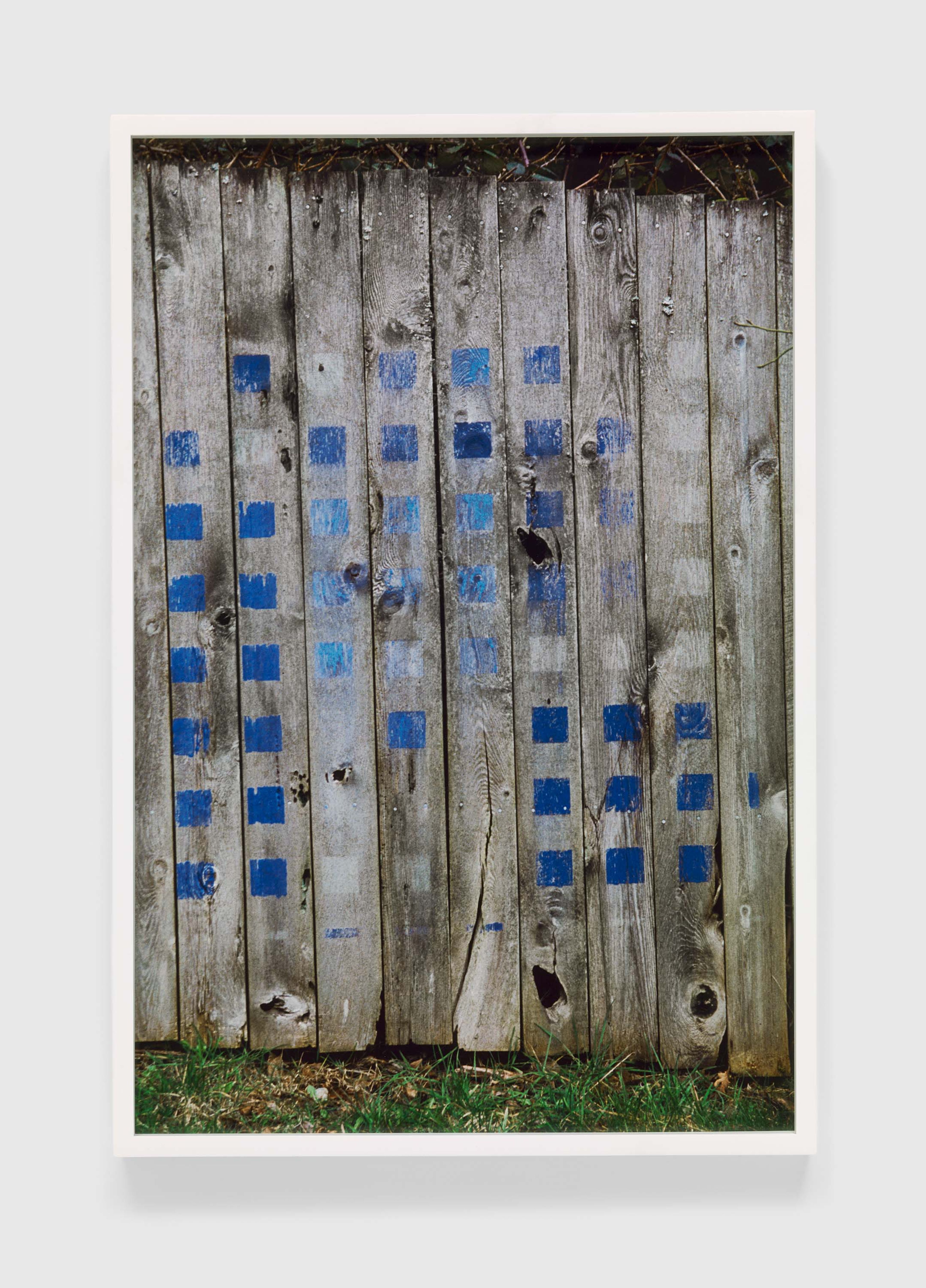 A photograph by Merrill Wagner, titled Blue, Summer Studio 1985-2003, dated 2017.