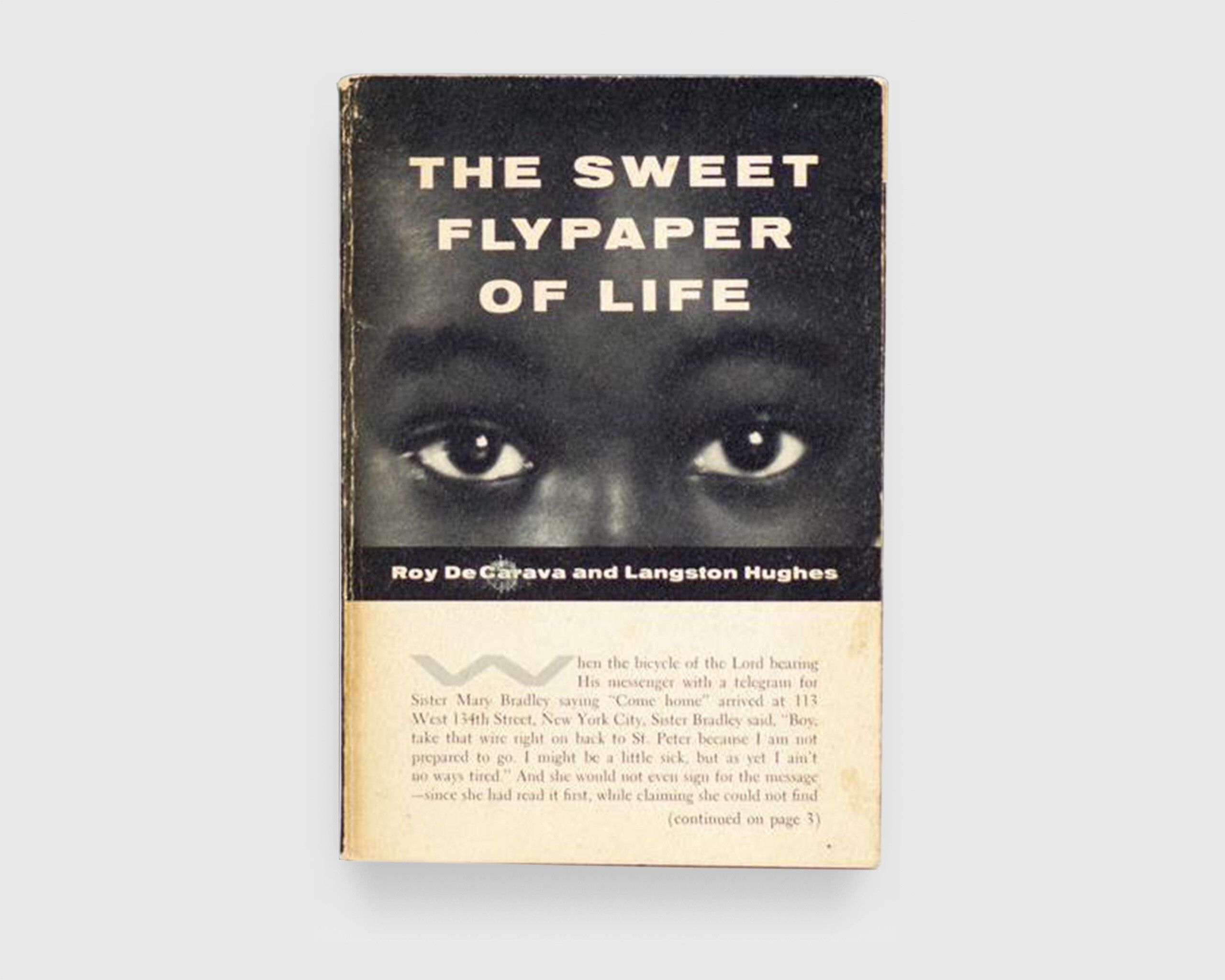 The cover of a book, titled The Sweet Flypaper of Life.