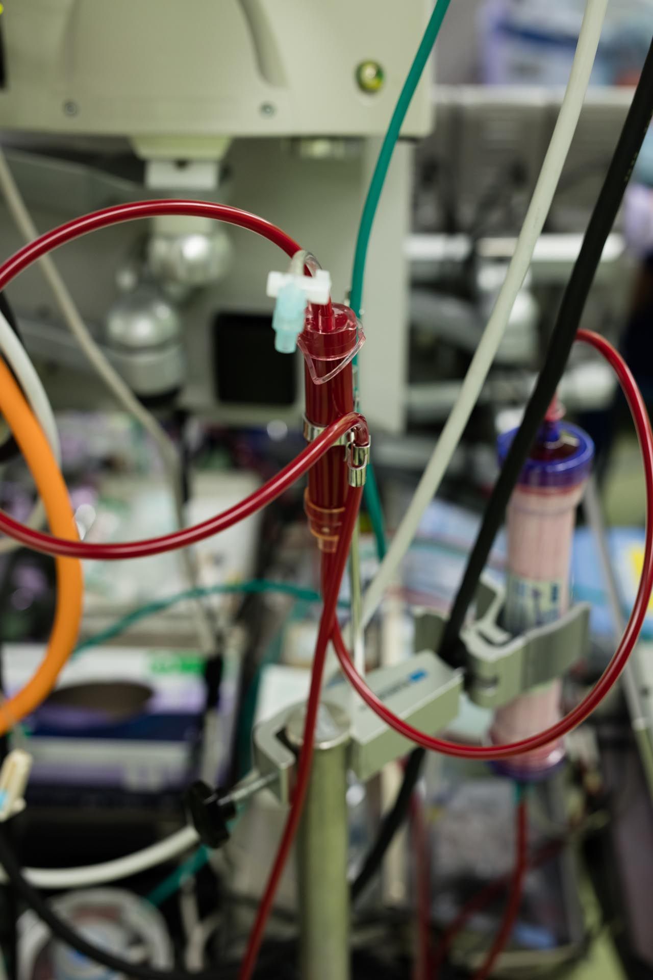 A photograph by Wolfgang Tillmans, titled not yet title (heart operation, a), 2015.