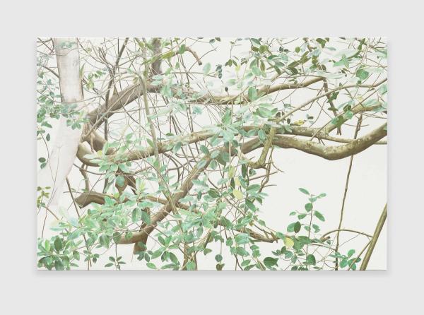 Toba Khedoori — Untitled