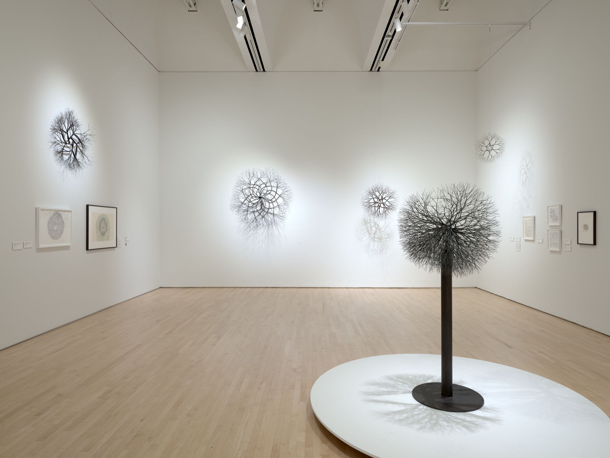 Ruth Asawa: Retrospective | David Zwirner