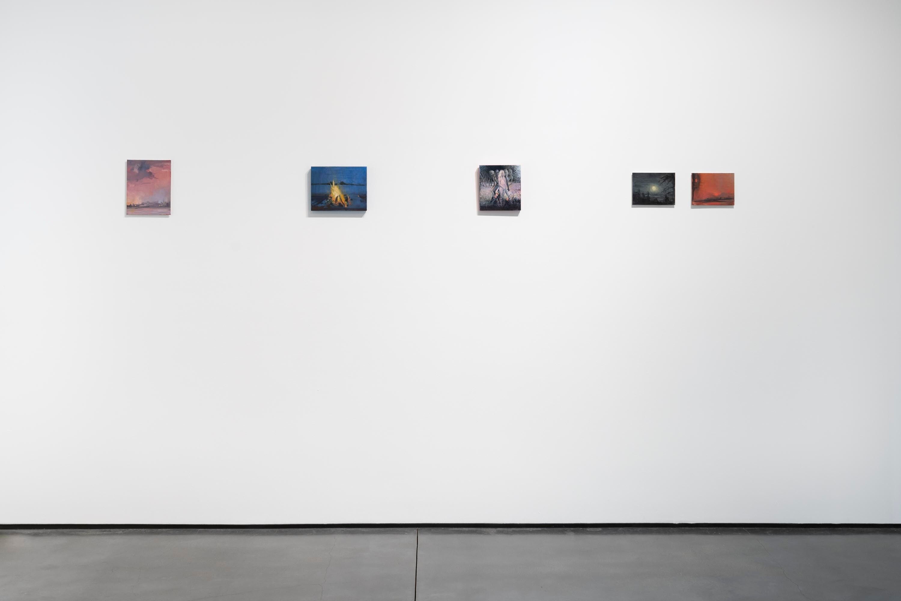 An Installation view of Lisa Yuskavage: Wilderness, Aspen Art Museum dated 2020
