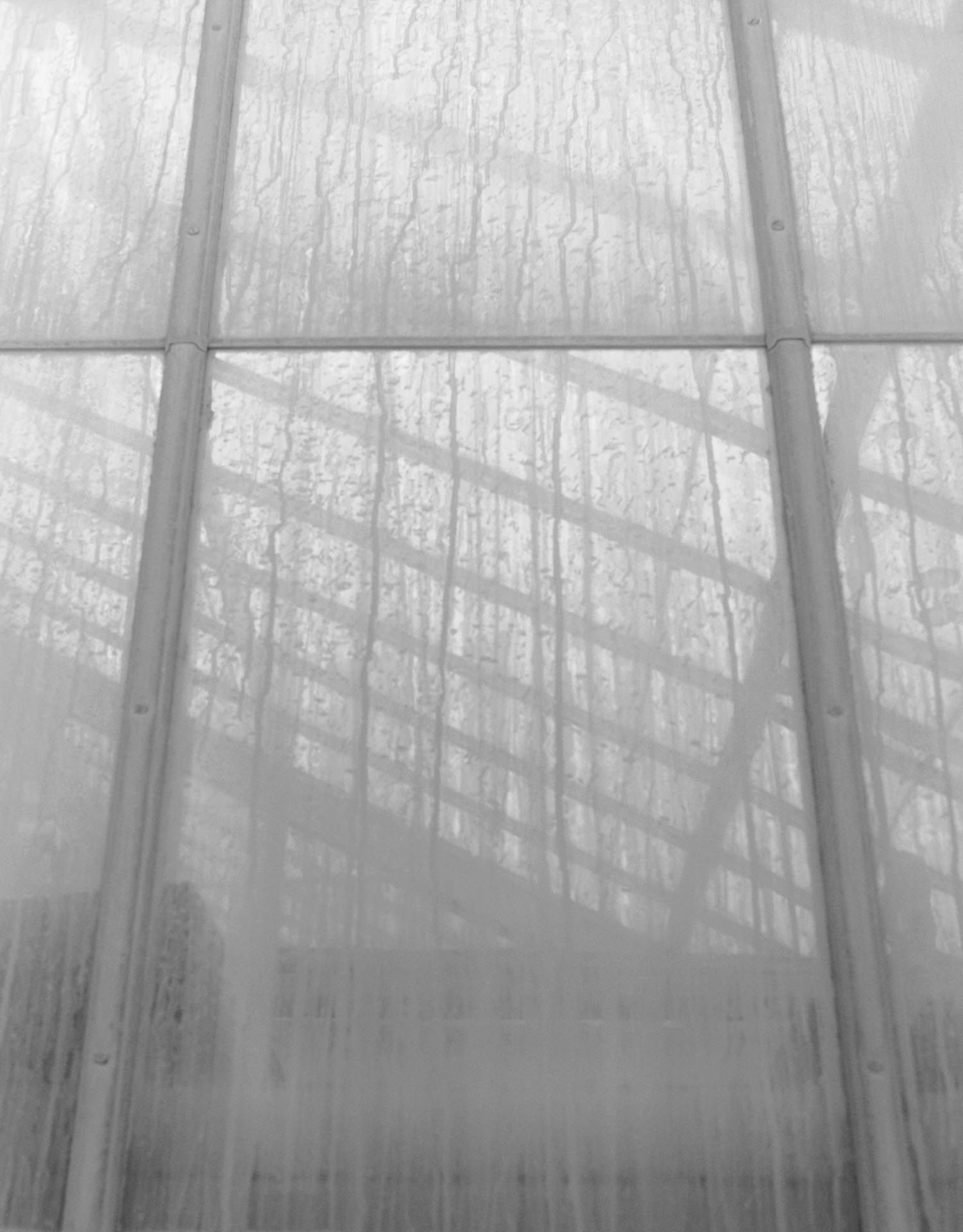 A photograph by James Welling, titled Greenhouse I, dated 1997.