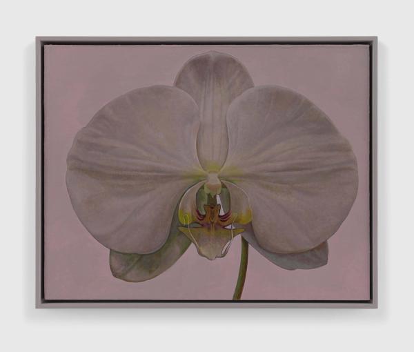Liu Ye — Flower No. 5 (Homage to Karl Blossfeldt)