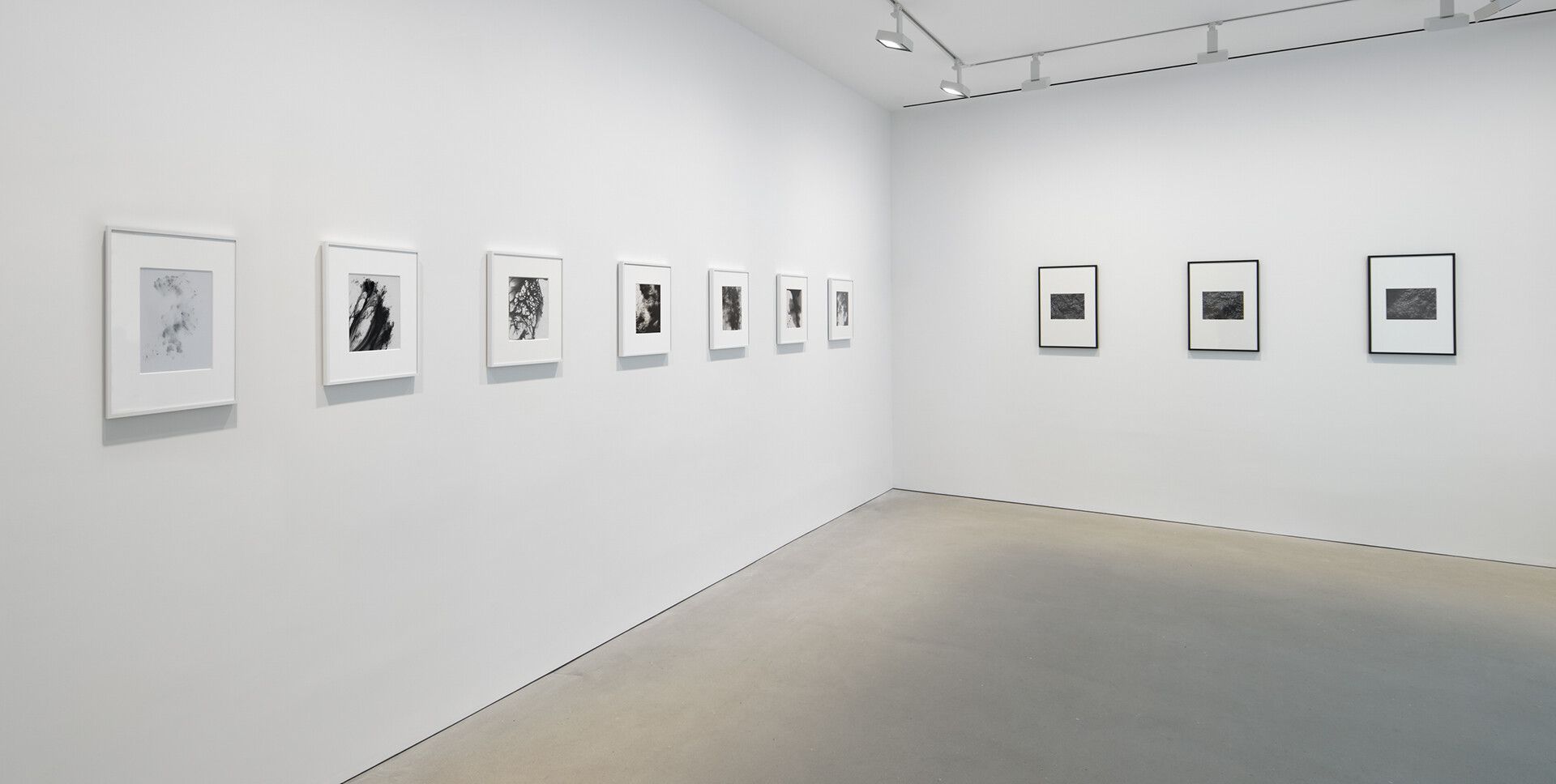 An installation view of an exhibition titled James Welling: Metamorphosis at David Zwirner, Hong Kong, in 2021.