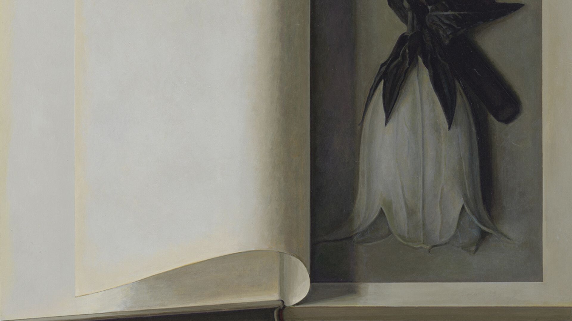 A detail from a painting by Liu Ye, titled Book Painting No. 21 (Karl Blossfeldt, The Complete Published Work, Taschen GMBH, 2017), dated 2018.