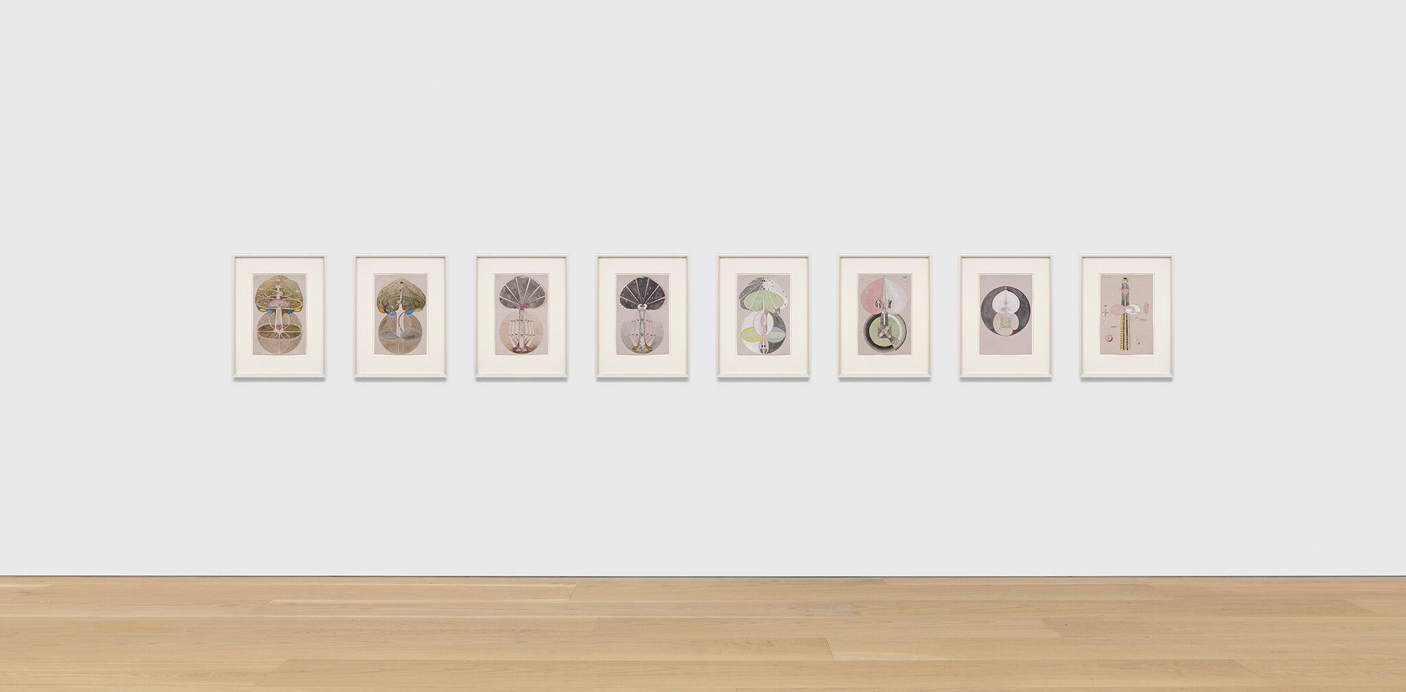An installation view of a series by Hilma af Klint, title Tree of Knowledge, dated 1913–1915.