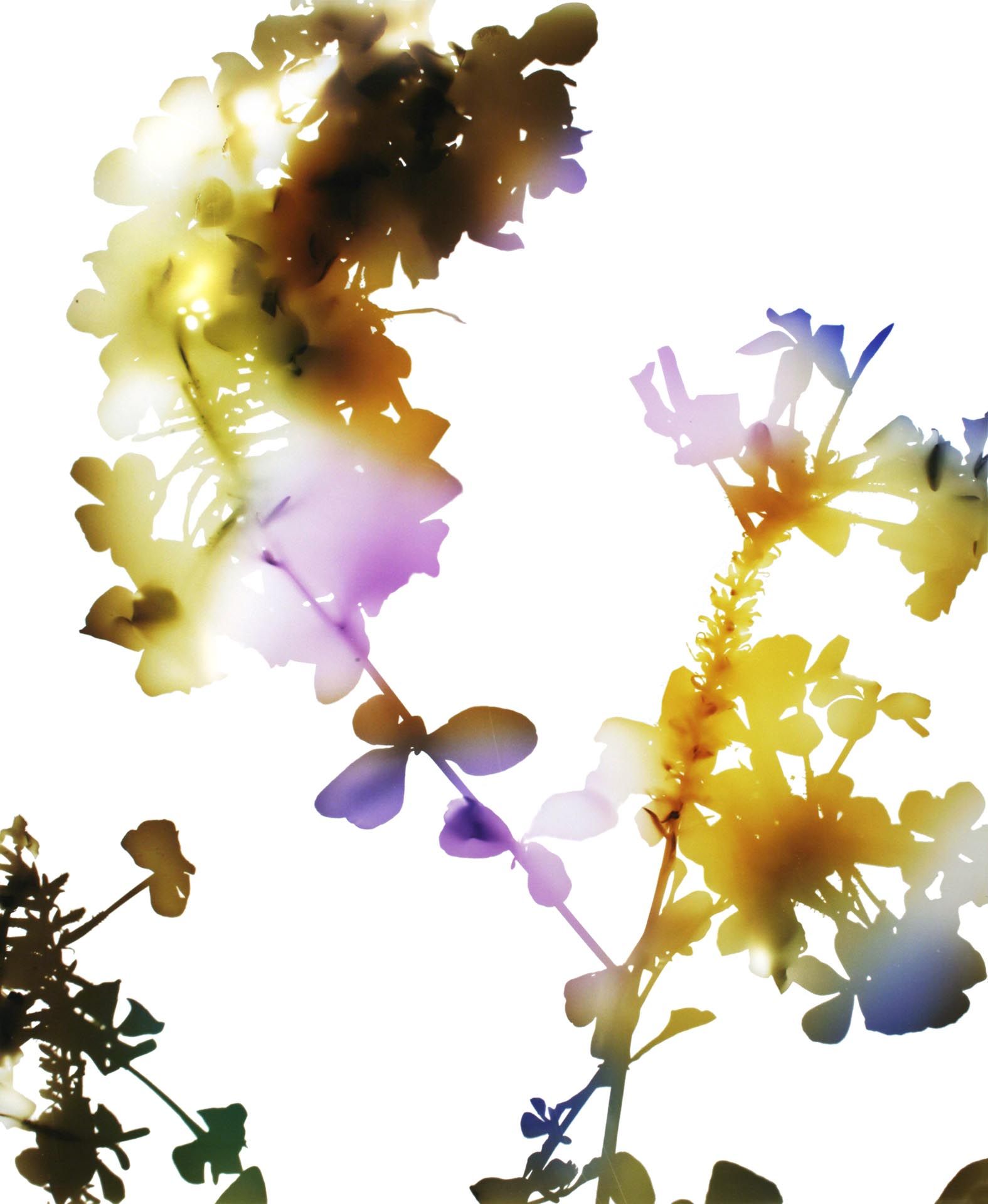 A photograph by James Welling, titled 033, dated 2006. 