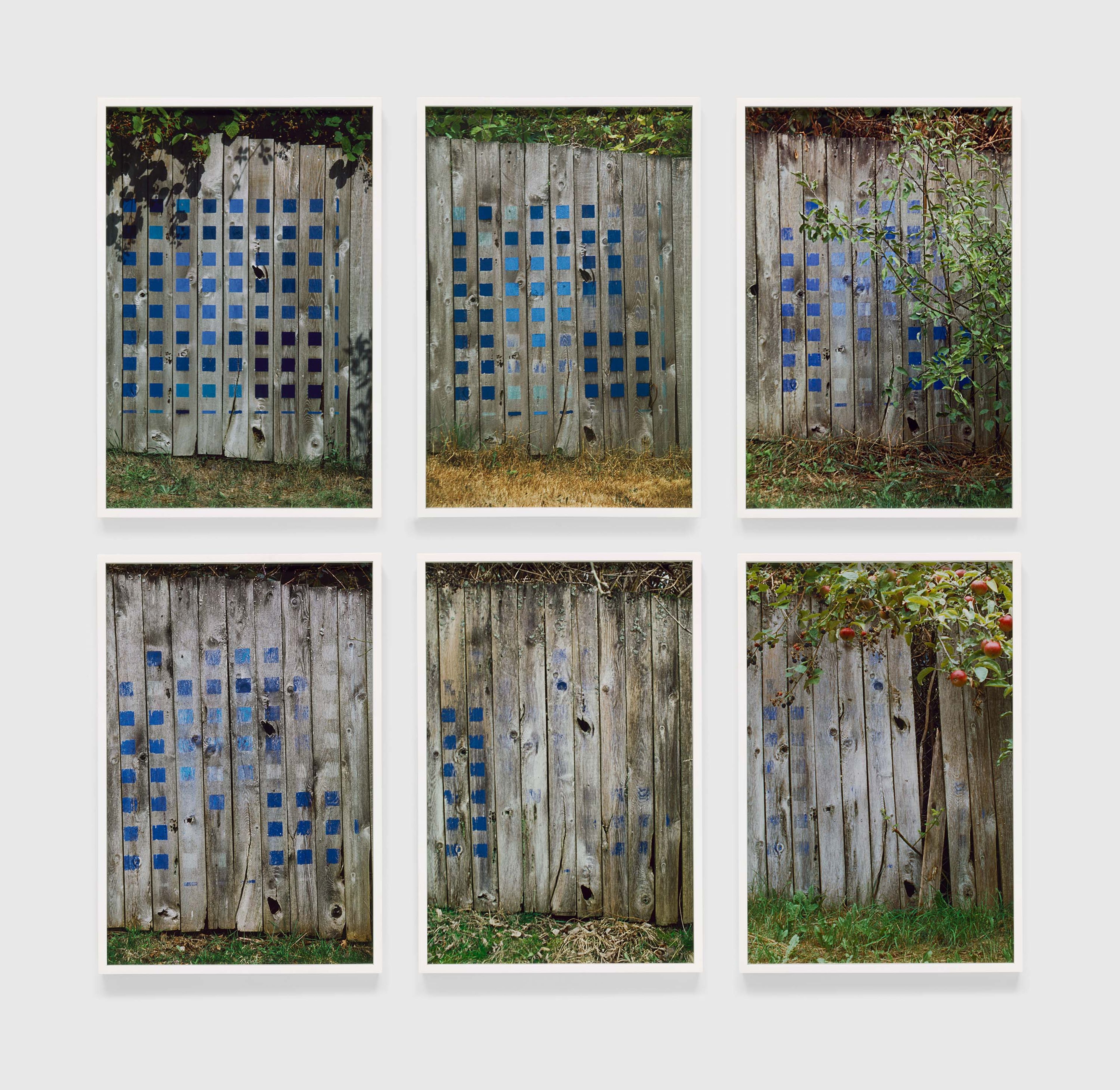 A photograph by Merrill Wagner, titled Blue, Summer Studio 1985-2003, dated 2017.