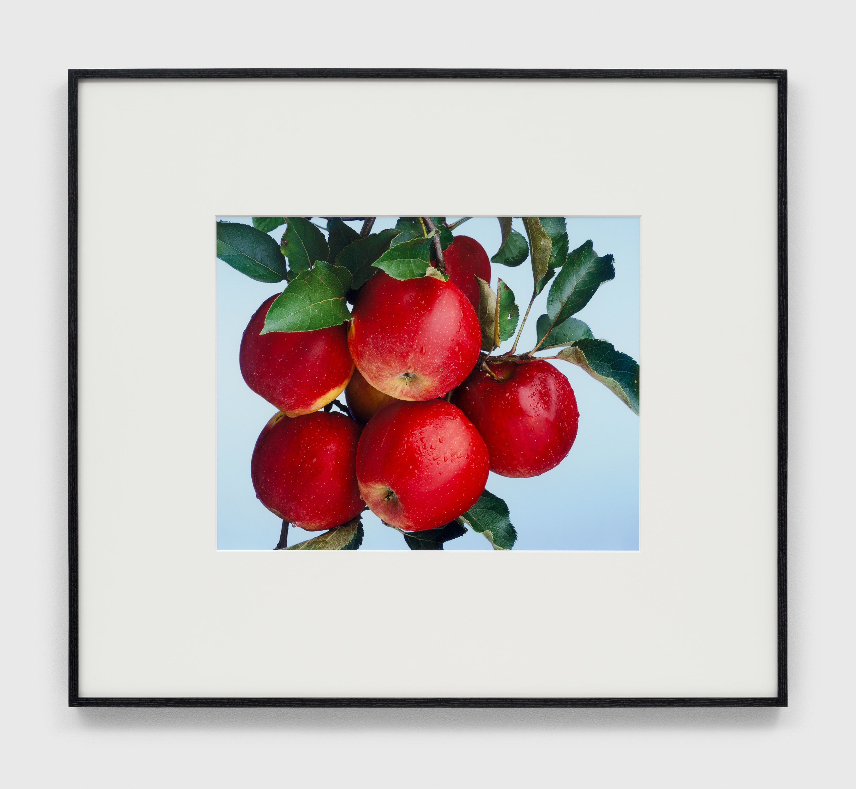 A photograph by Christopher Williams, titled Bergische Bauernscheune, Junkersholz Leichlingen, September 29, 2009, dated 2010. 