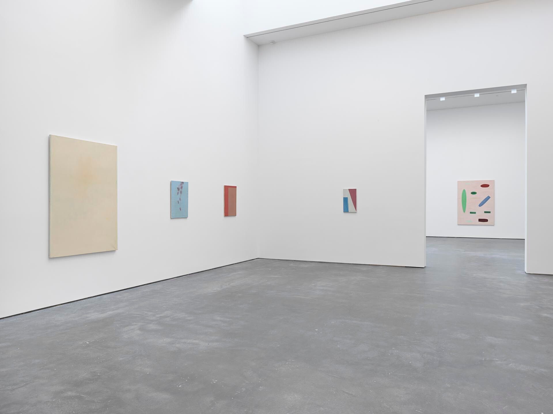 An installation view featuring woks by Raoul De Keyser, dated 2016
