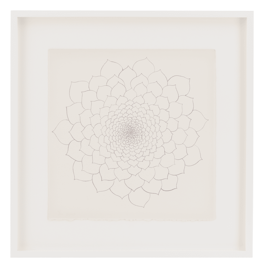 A lithograph on paper by Ruth Asawa, titled Untitled (TAM.1480, Succulent [line drawing]), dated 1965.