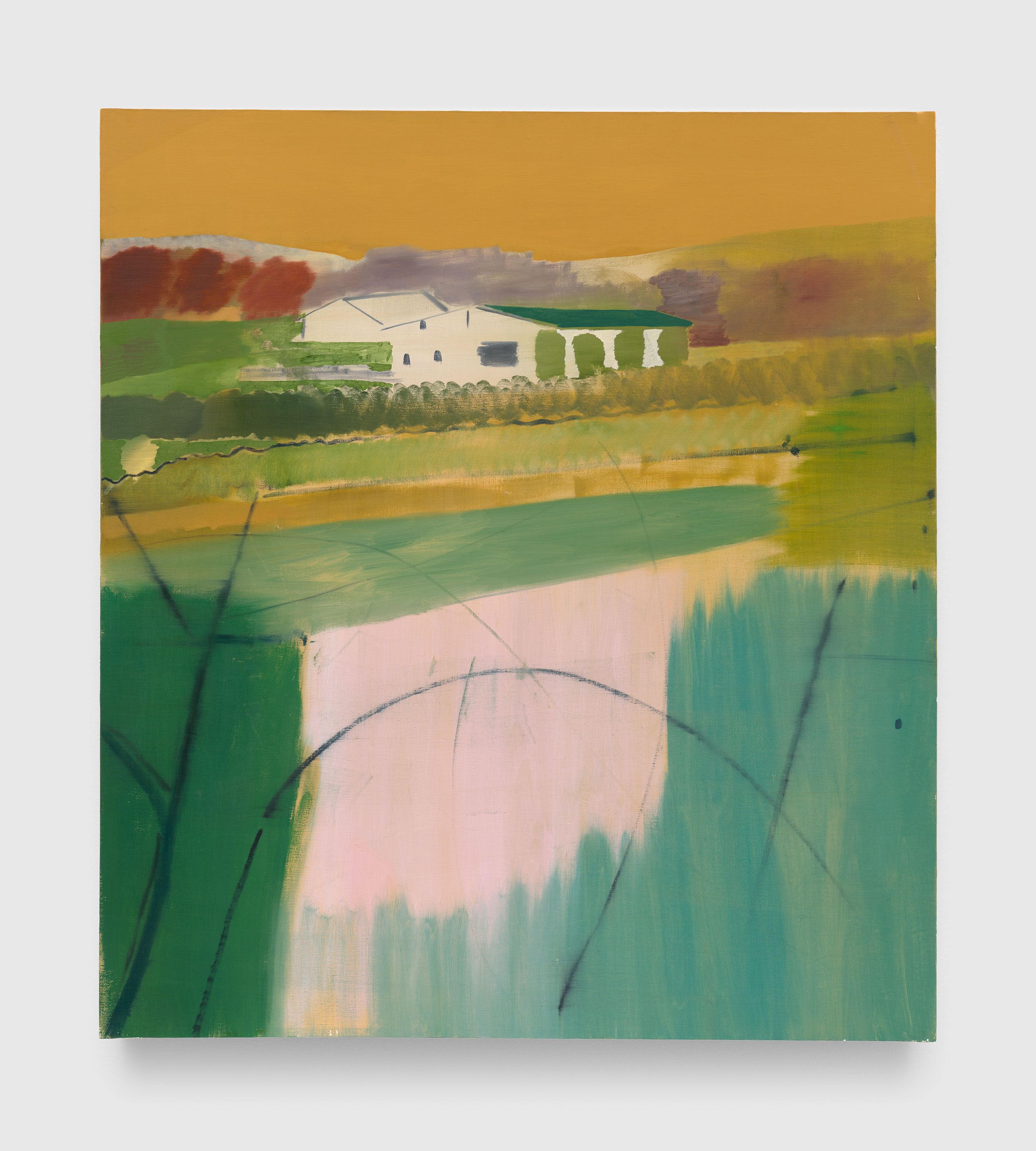 Yu Nishimura: Spring Field, 2025 | David Zwirner