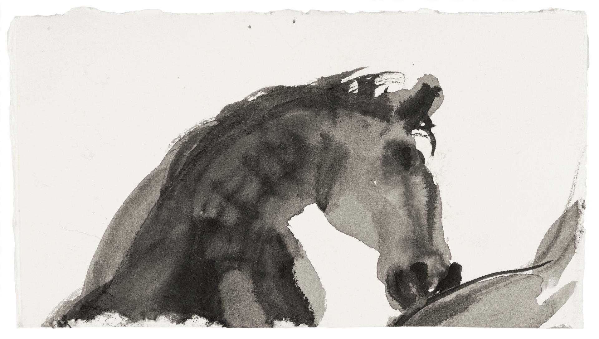 A drawing by Marlene Dumas, titled The horse, dated 2015 to 2016.