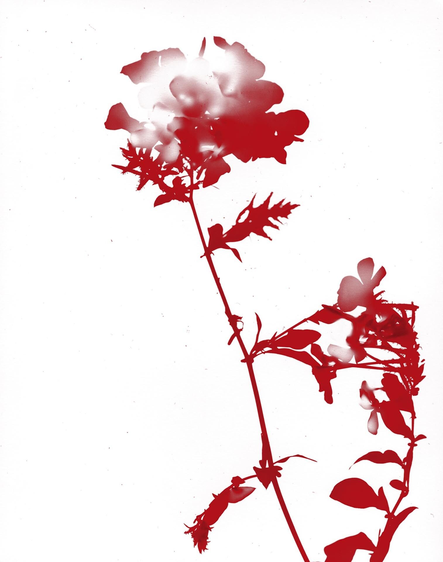 A photograph by James Welling, titled #026 (Red), dated 2004.