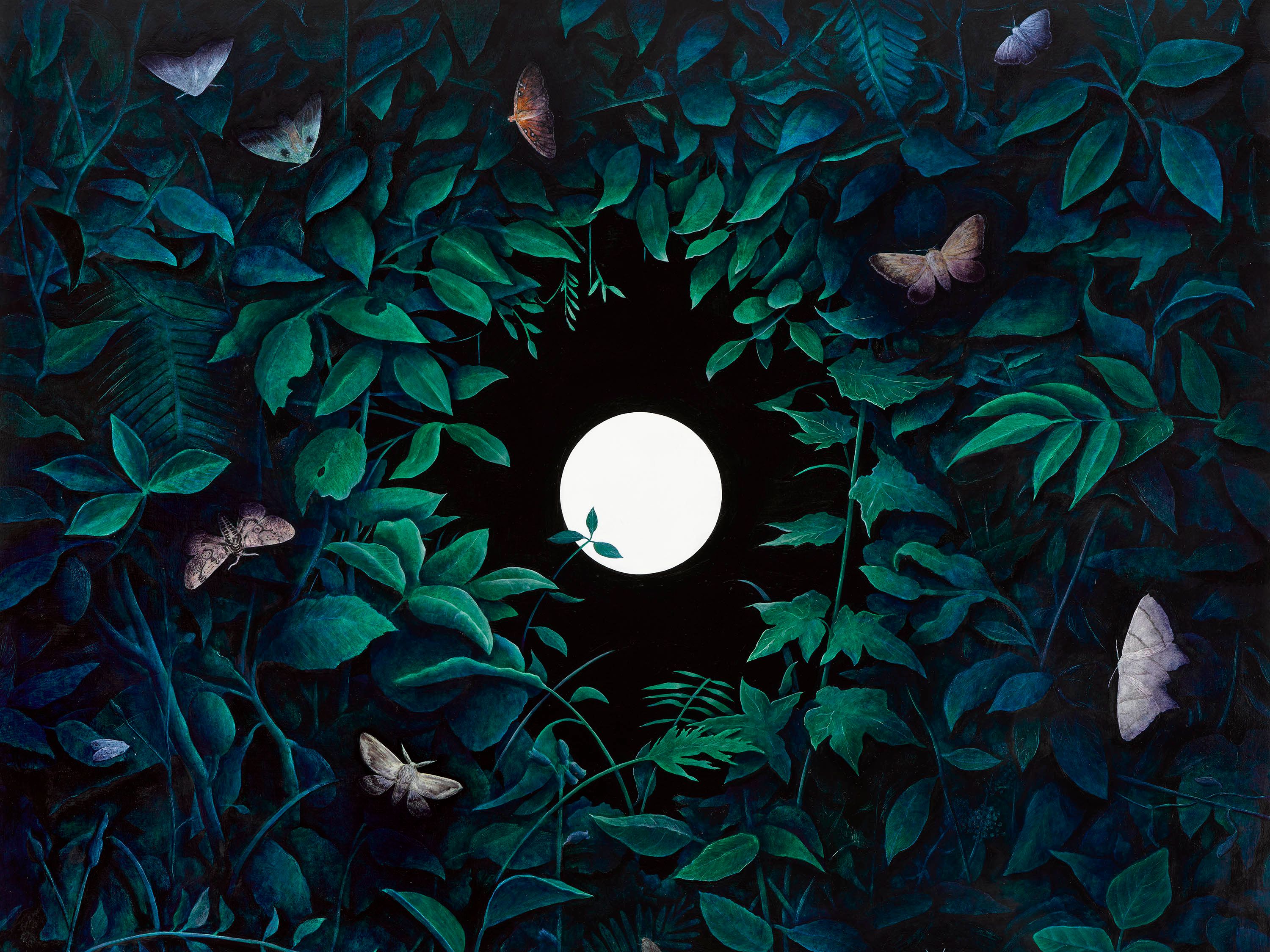 『 In the moonlight 』原画B3size Daichi Takagi: Moonlight, 2026 | David Zwirner